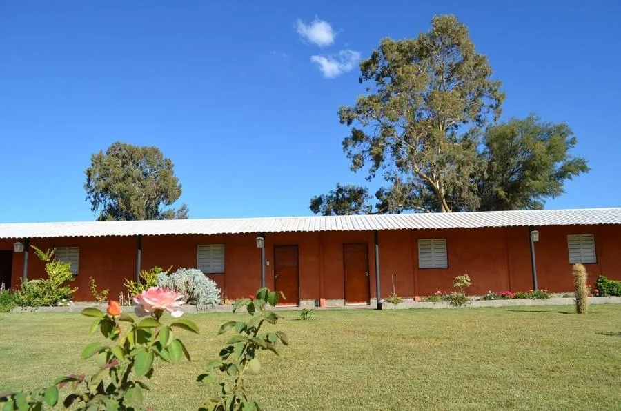 Garden in Don Remo