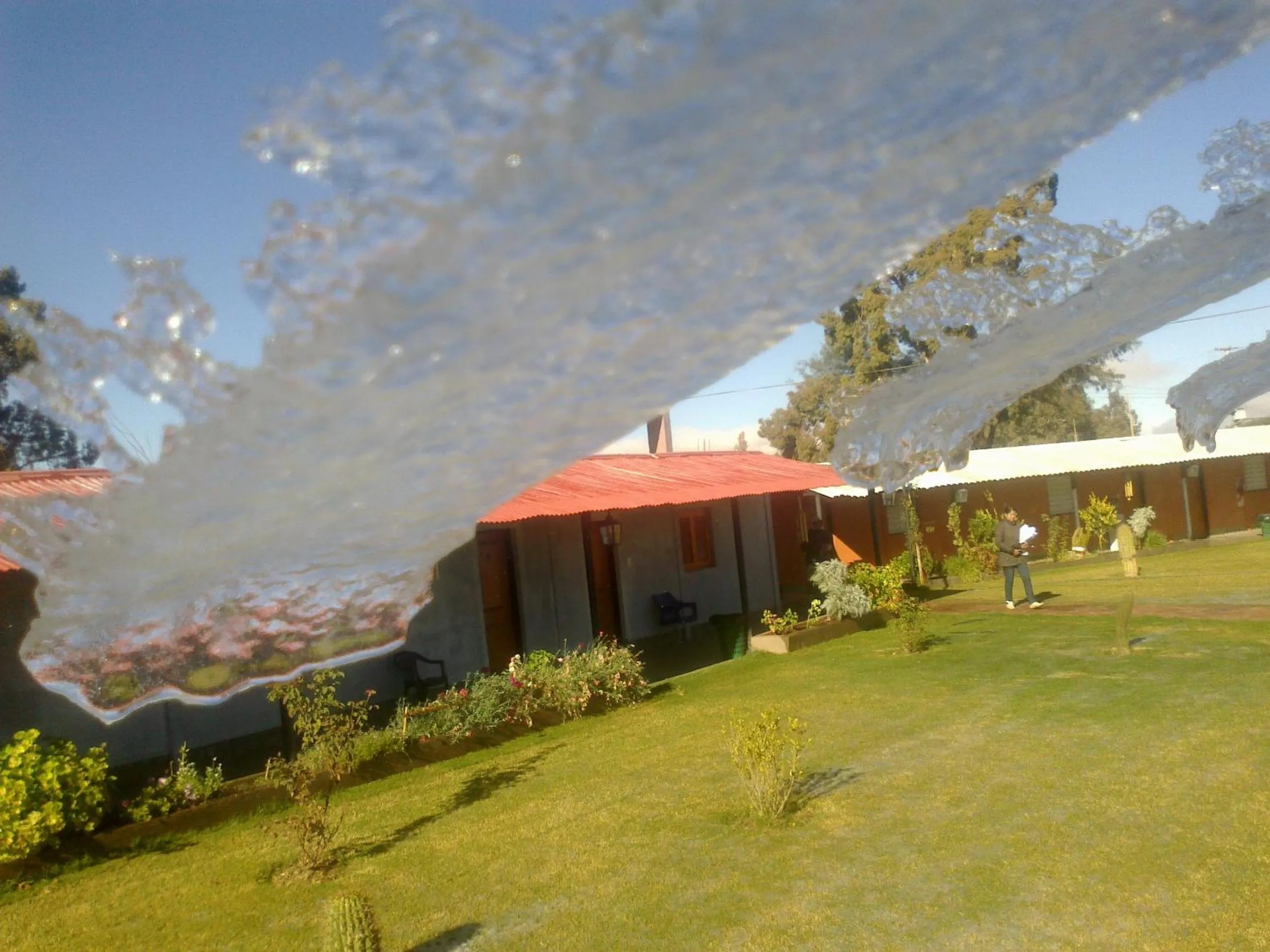 Garden in Don Remo