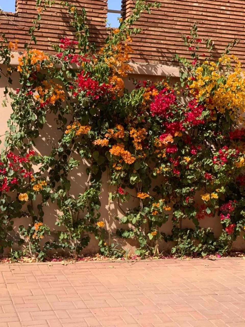 La Perla de Marrakech Appart de Luxe