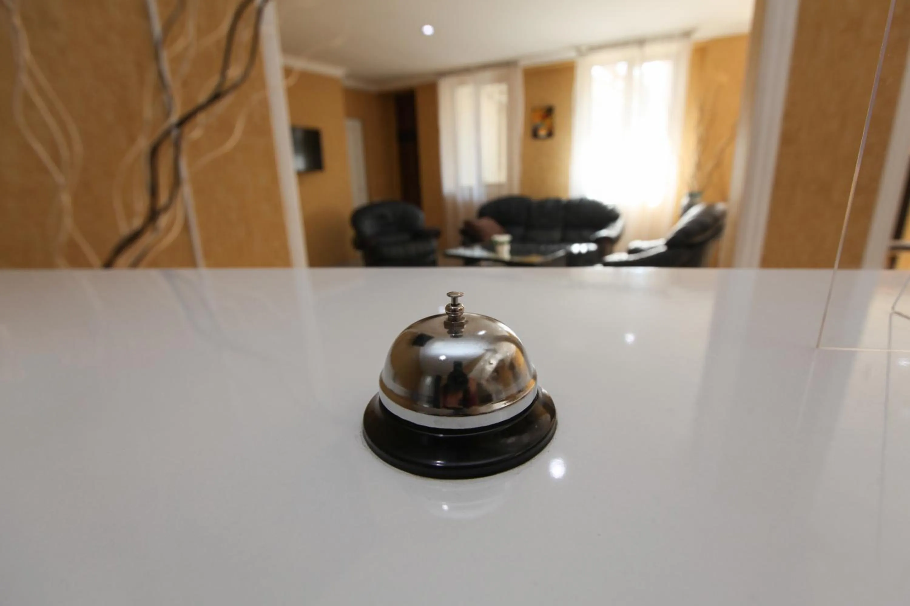 Lobby or reception in Georgia Tbilisi GT Hotel