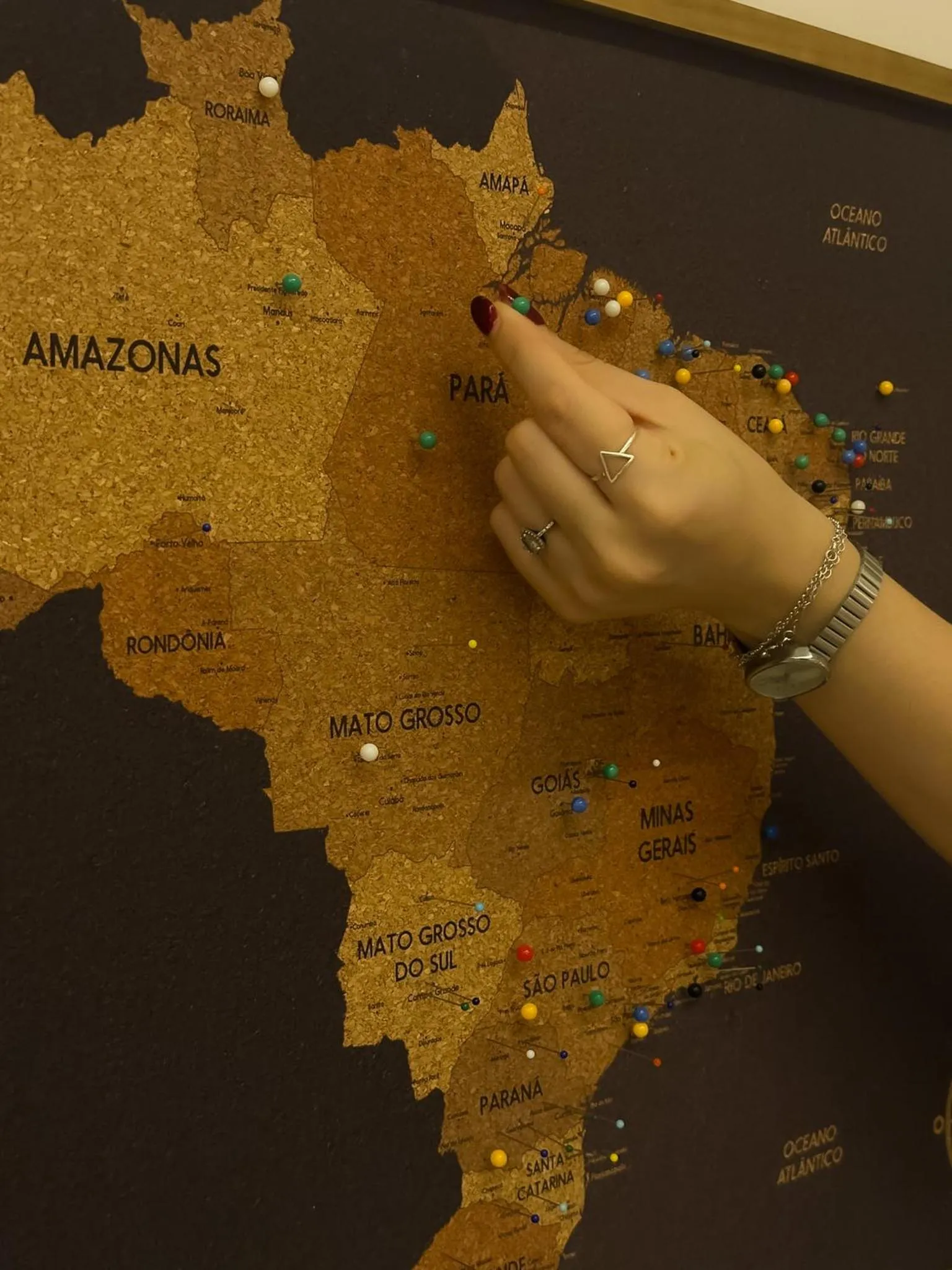 Area and facilities in TERESINA HOTEL