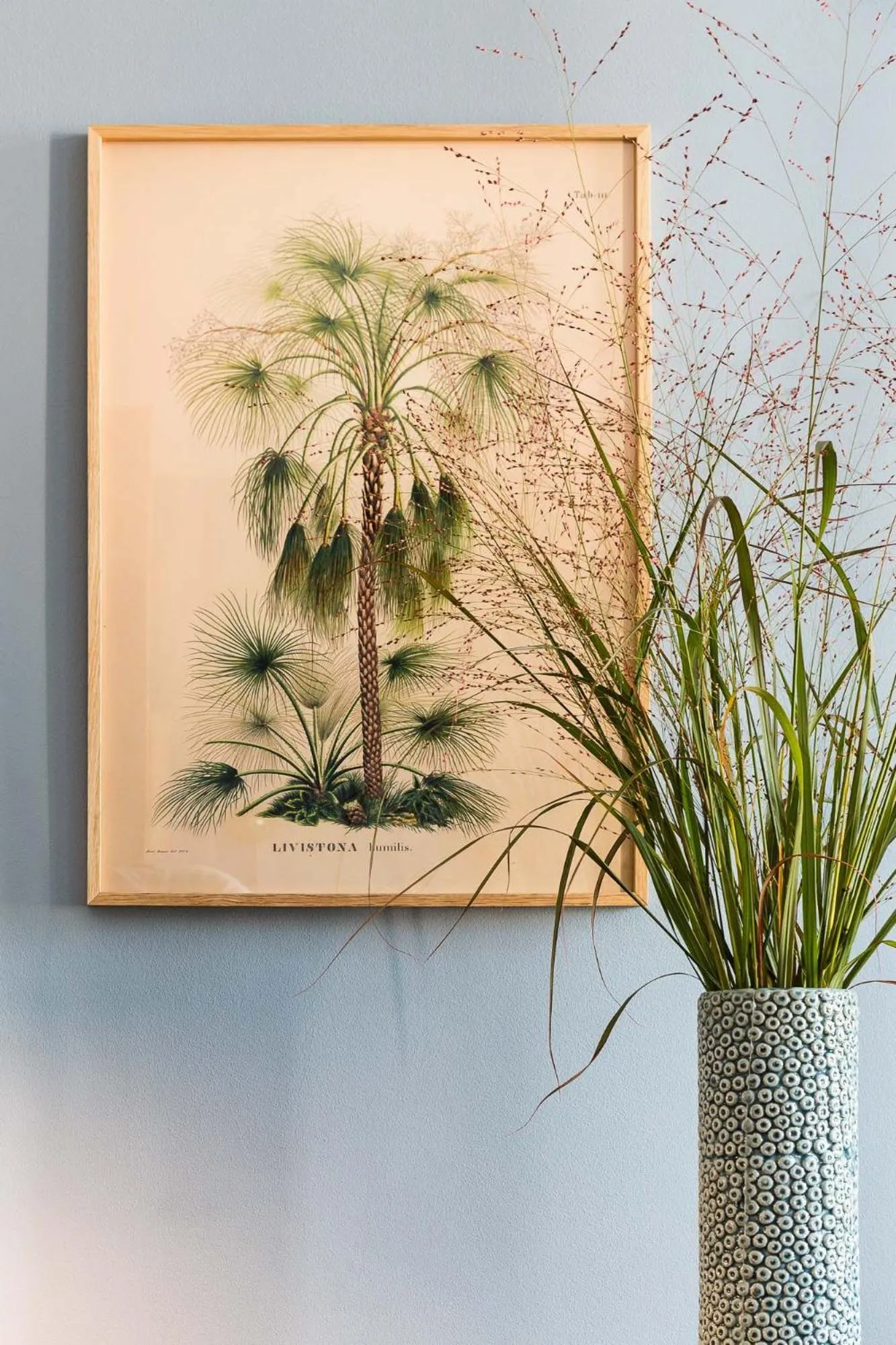 Decorative detail in Brilliant Apartments