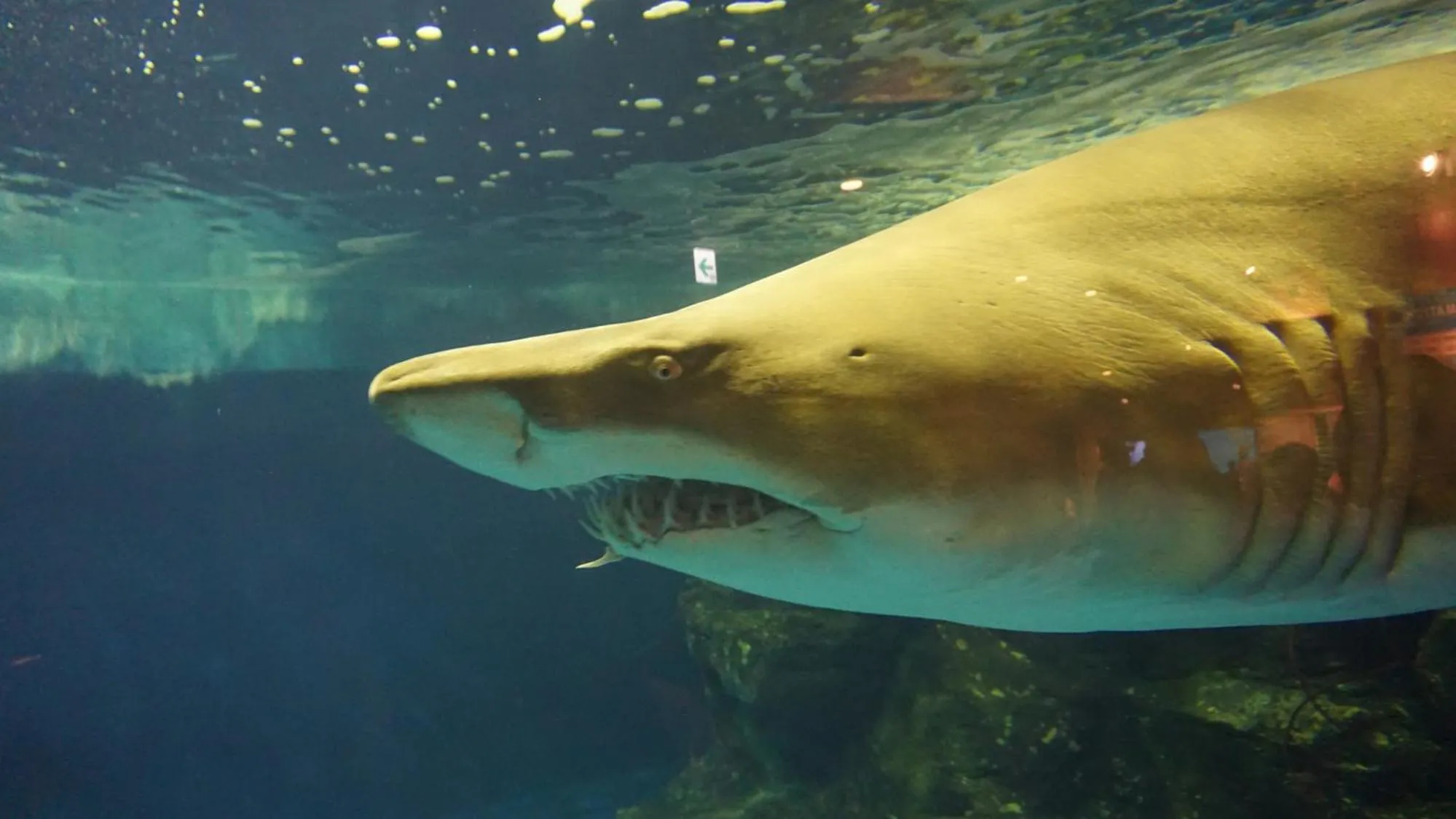 Nearby landmark in Toyoko Inn Tokyo Haneda Airport No.2
