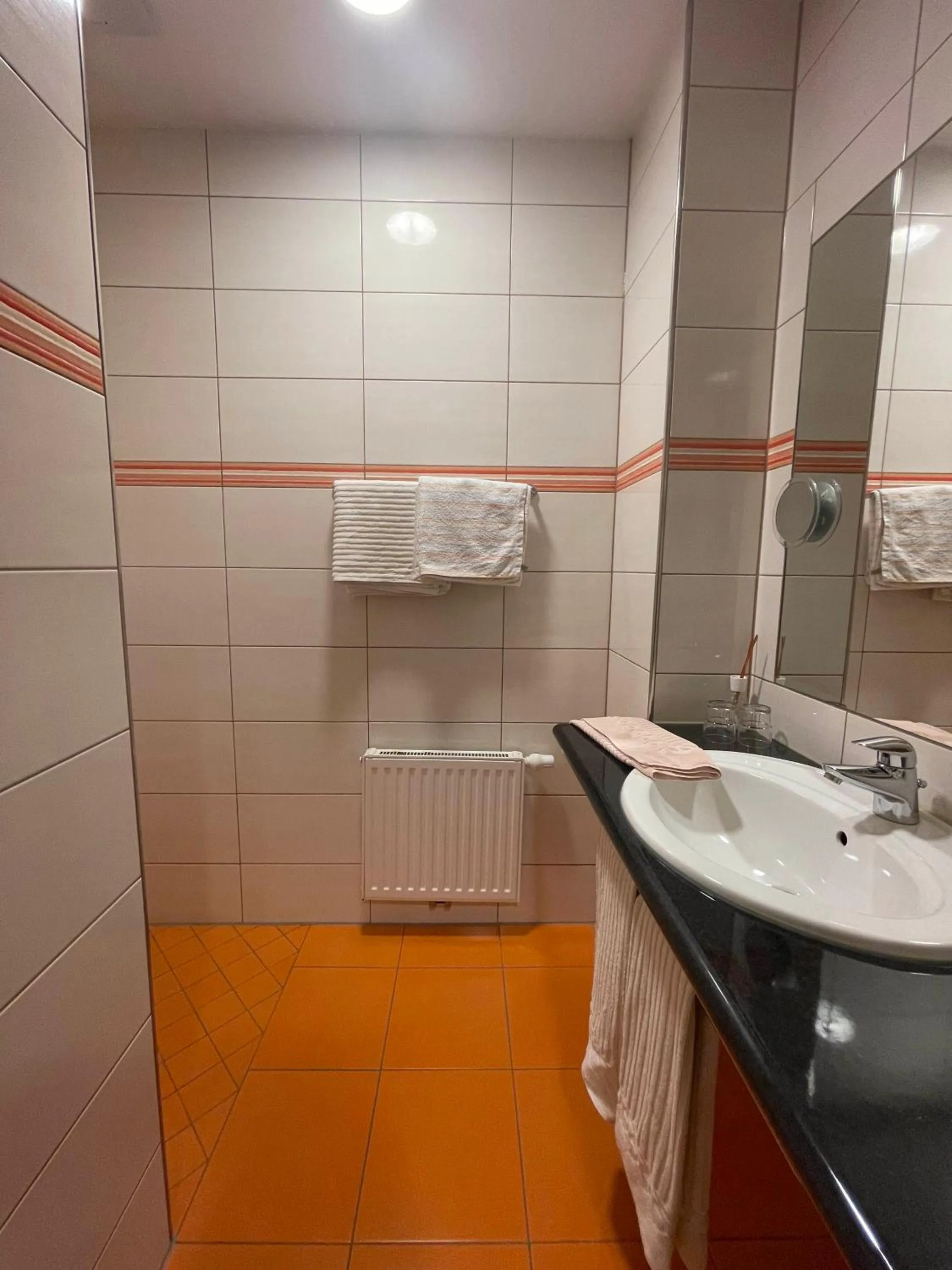 Shower in ROTHSEE Hotel