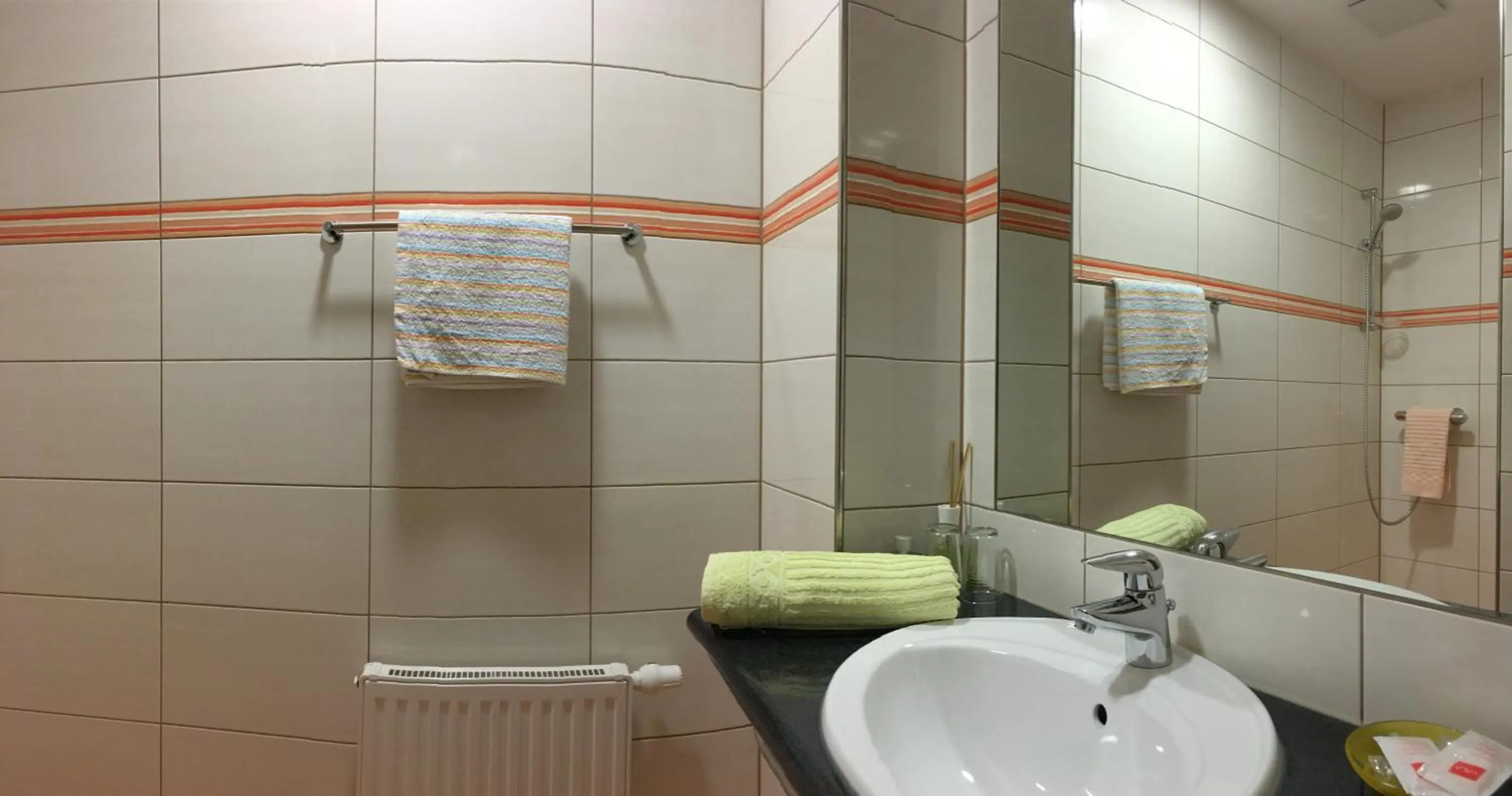 Shower in ROTHSEE Hotel