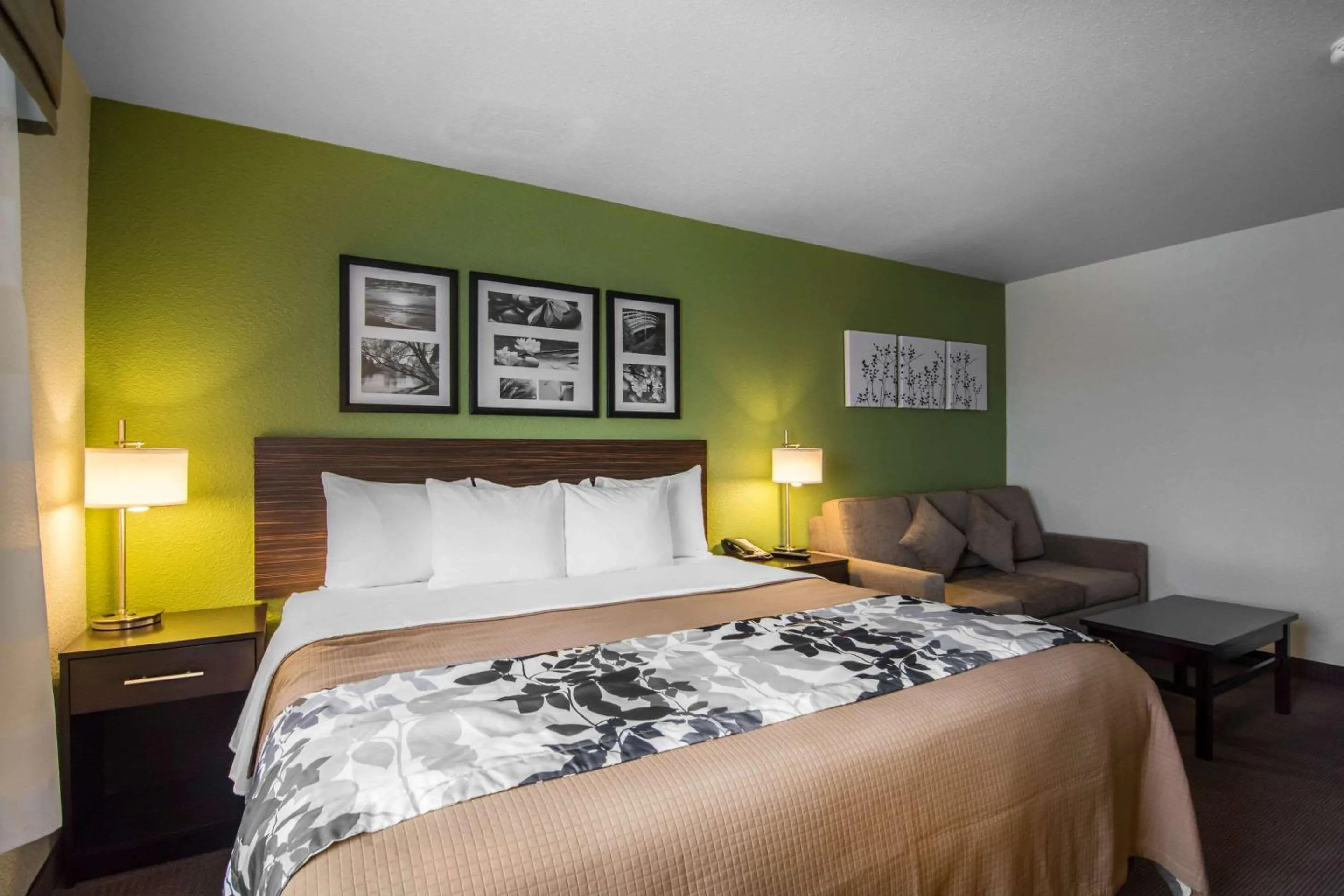 Bedroom, Bed in Sleep Inn Regina East