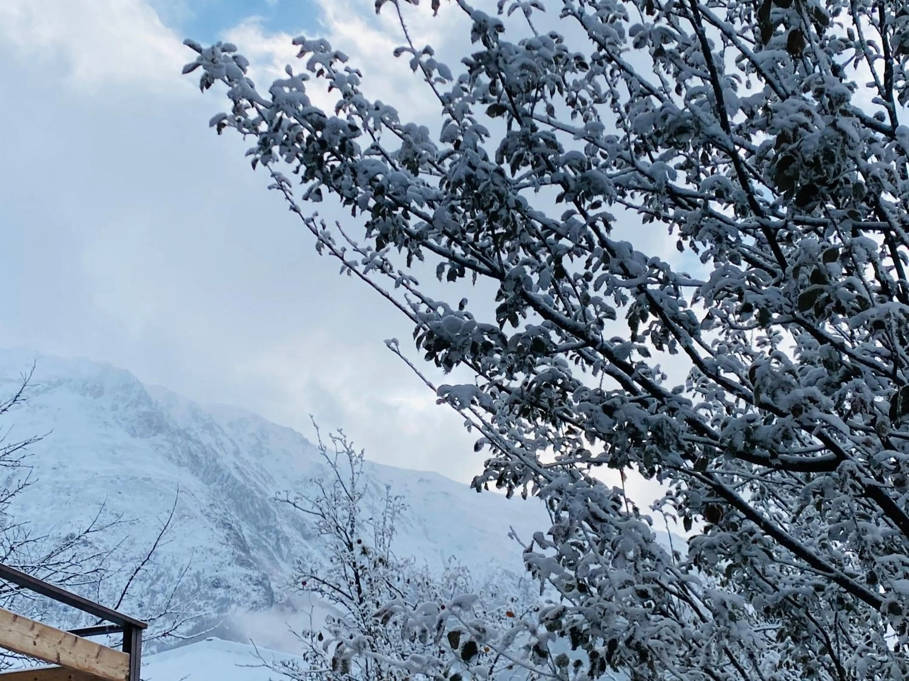 Natural landscape in HOTEL KAZBEGI 1963