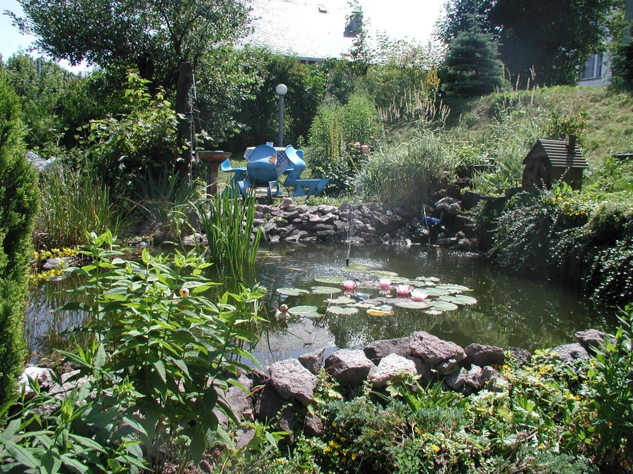 Garden in Aktiv Pension