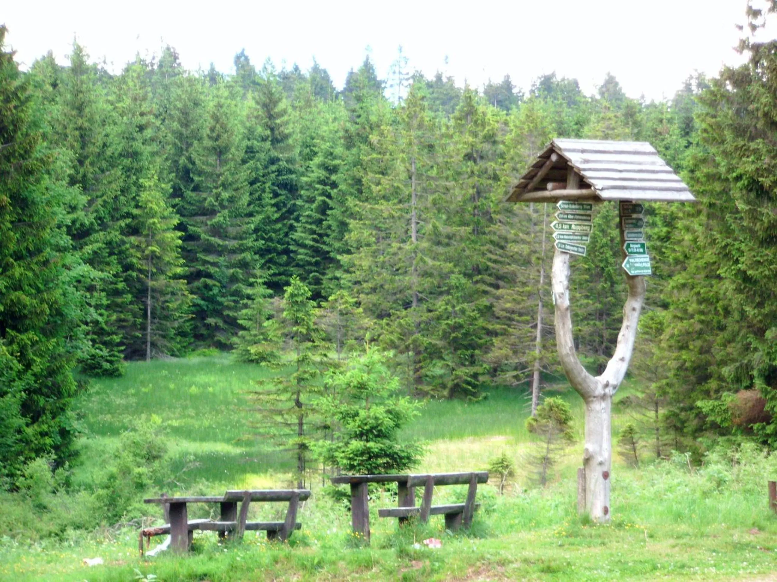 Natural landscape in Aktiv Pension