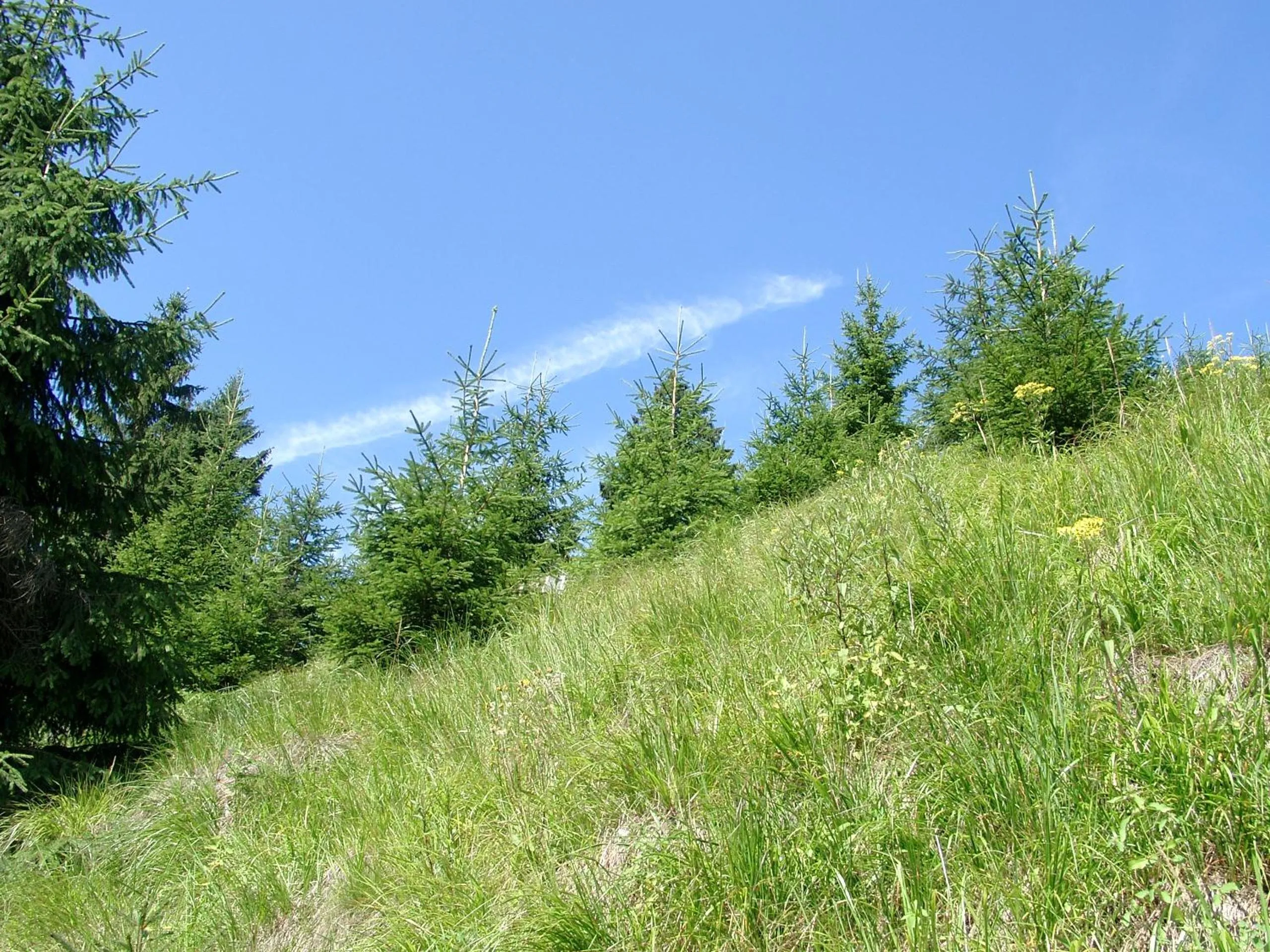 Natural landscape in Aktiv Pension