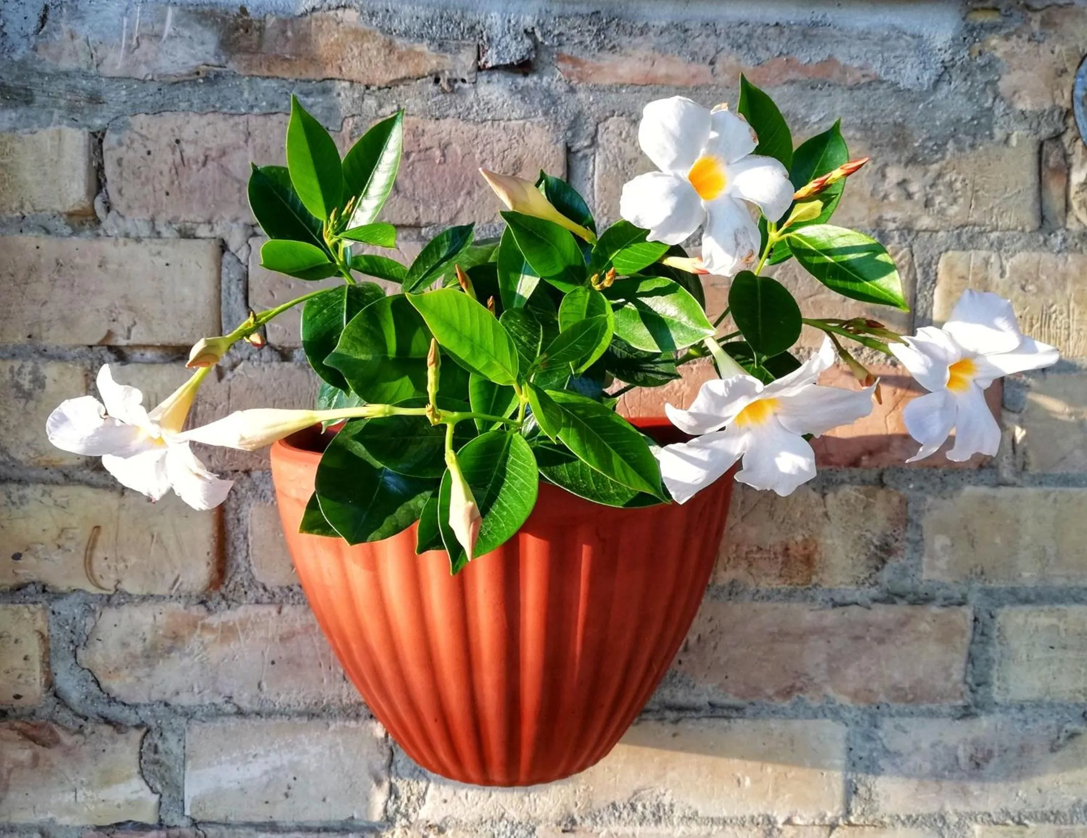 Property building in La mia Casa nelle Marche