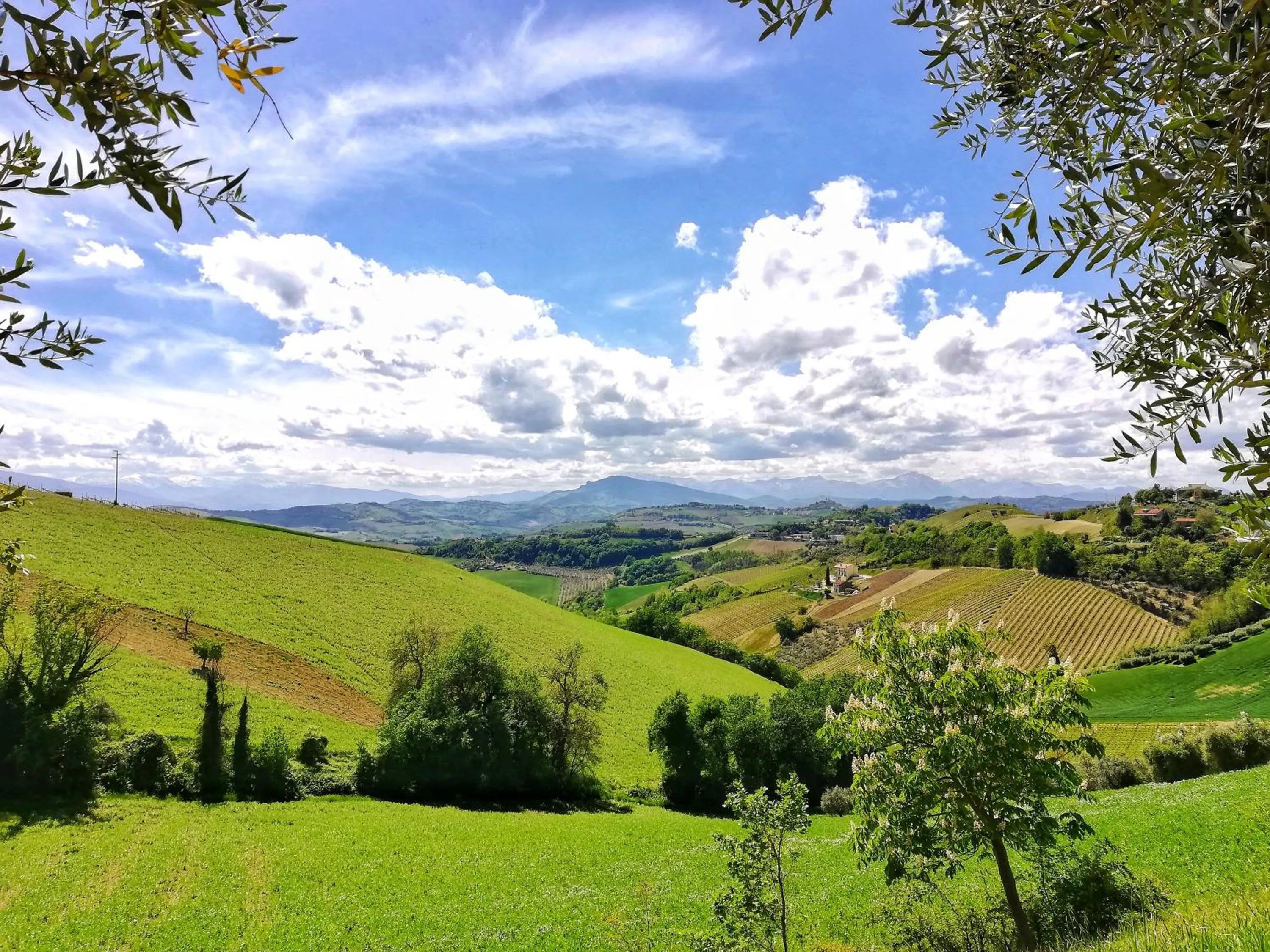 Natural landscape in La mia Casa nelle Marche