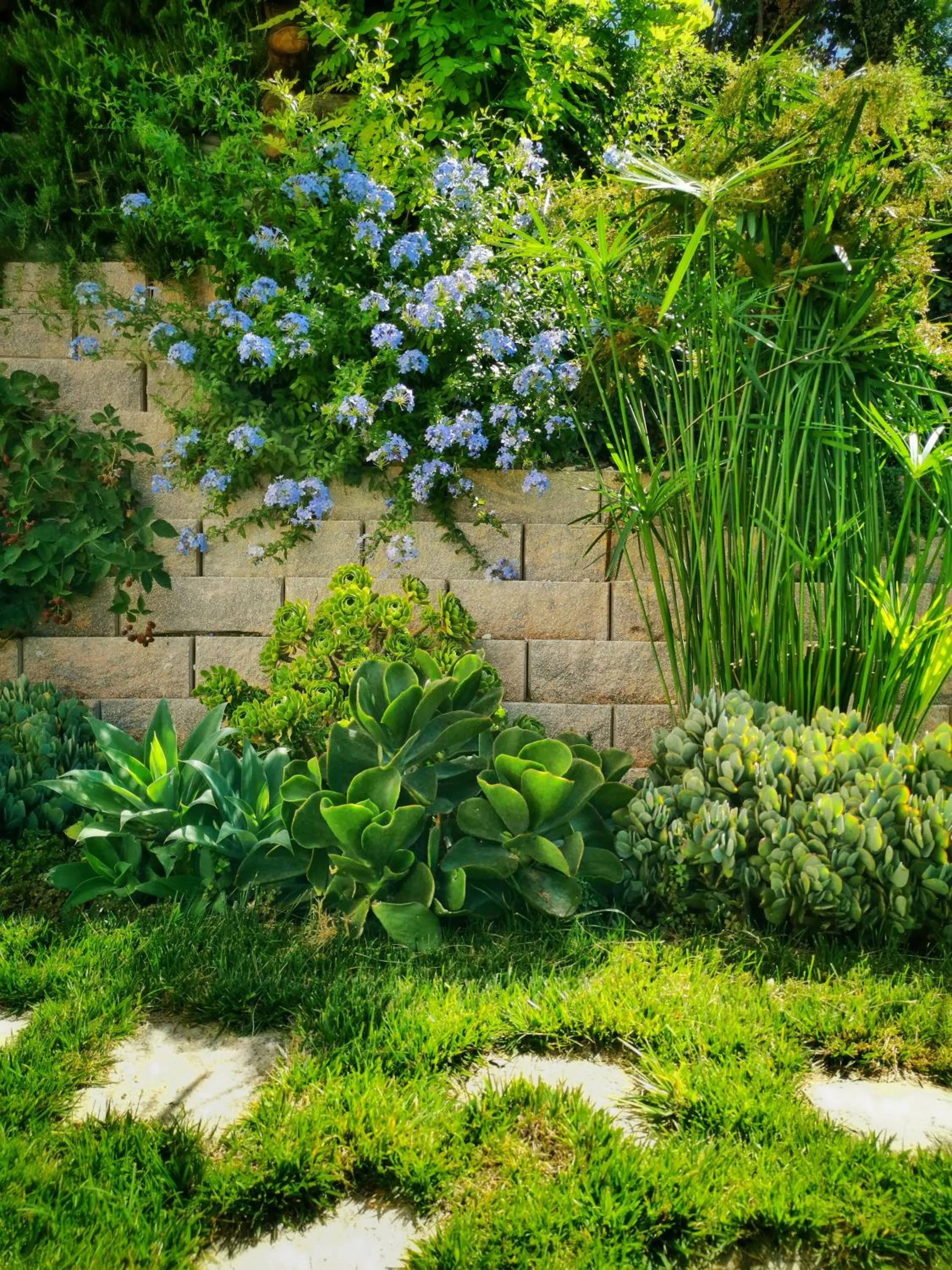 Garden in La mia Casa nelle Marche