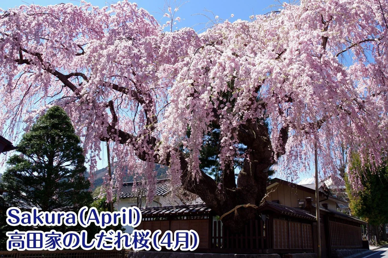 NIKKO stay house ARAI - Vacation STAY 14994v