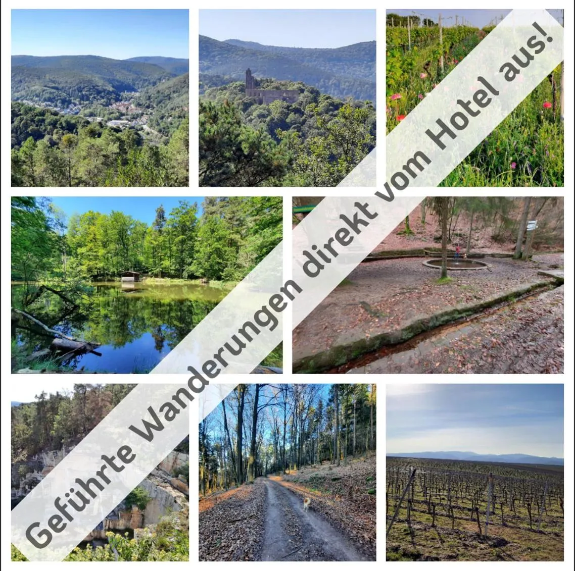 Activities in Hotel Bad Dürkheim