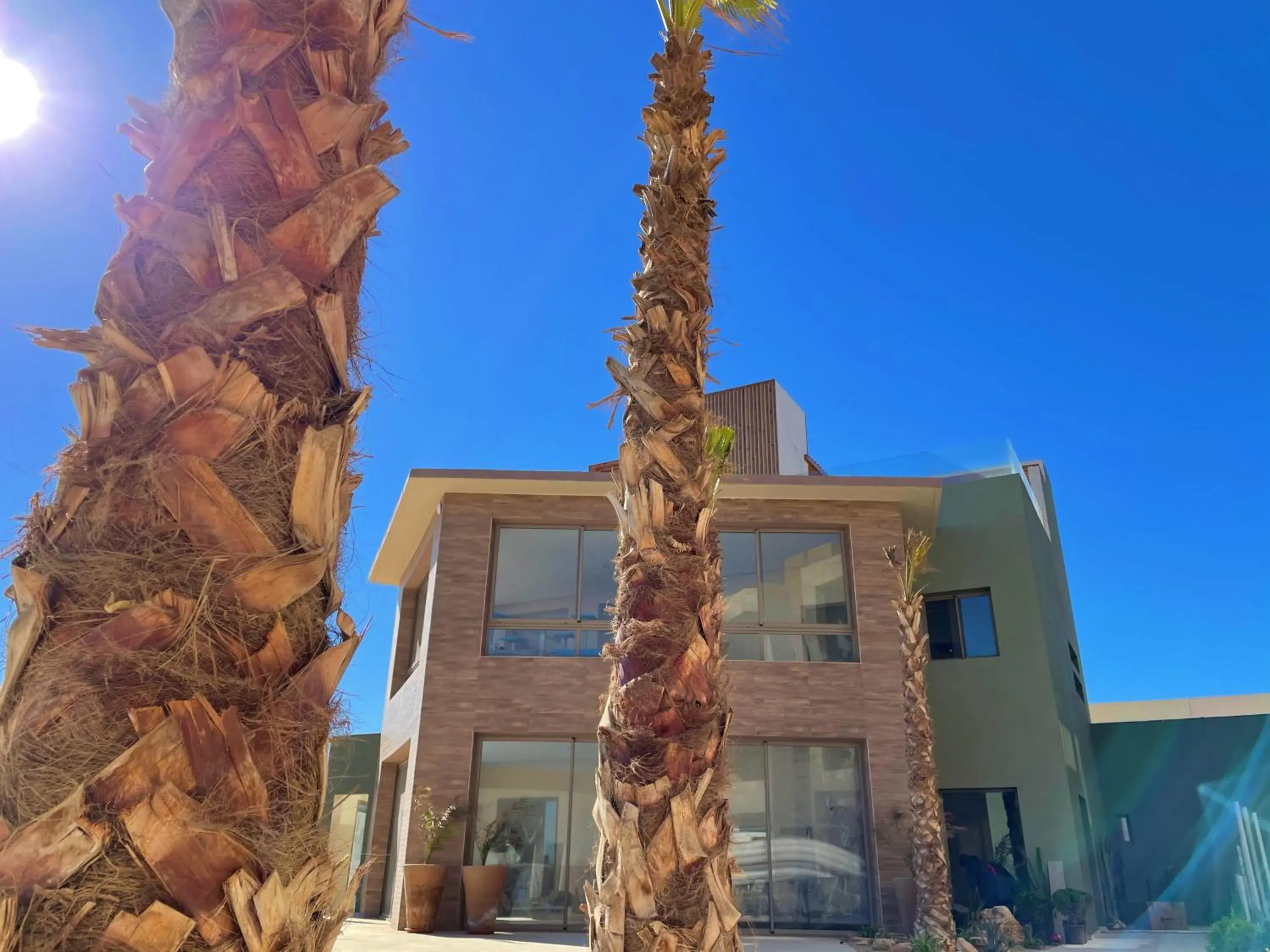 Restaurant/places to eat in Dakhla South Bay Restaurant/places to eat in Dakhla South Bay