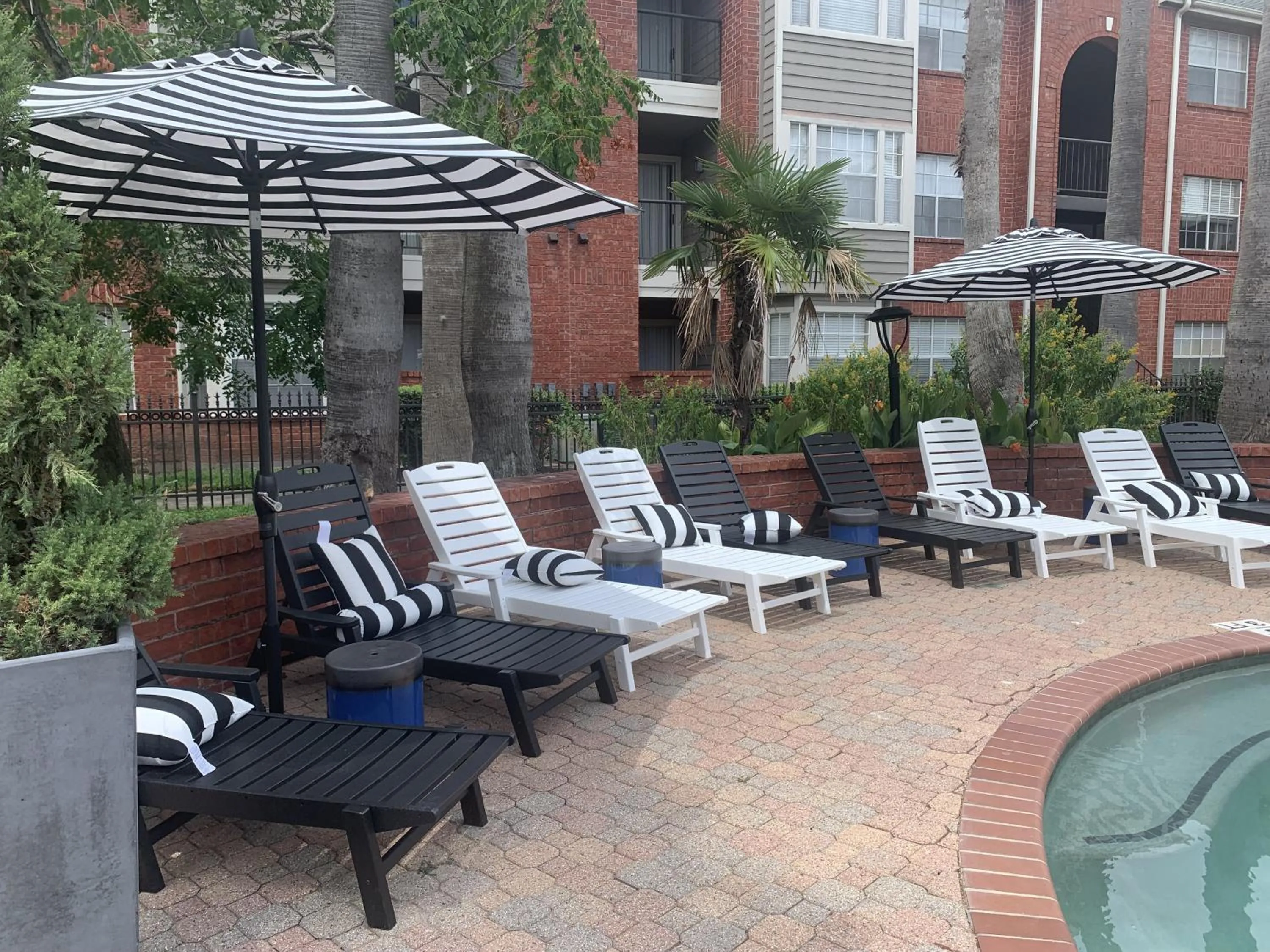 Swimming pool in Peaceful Medical Center Apartment 2BR & 2BA