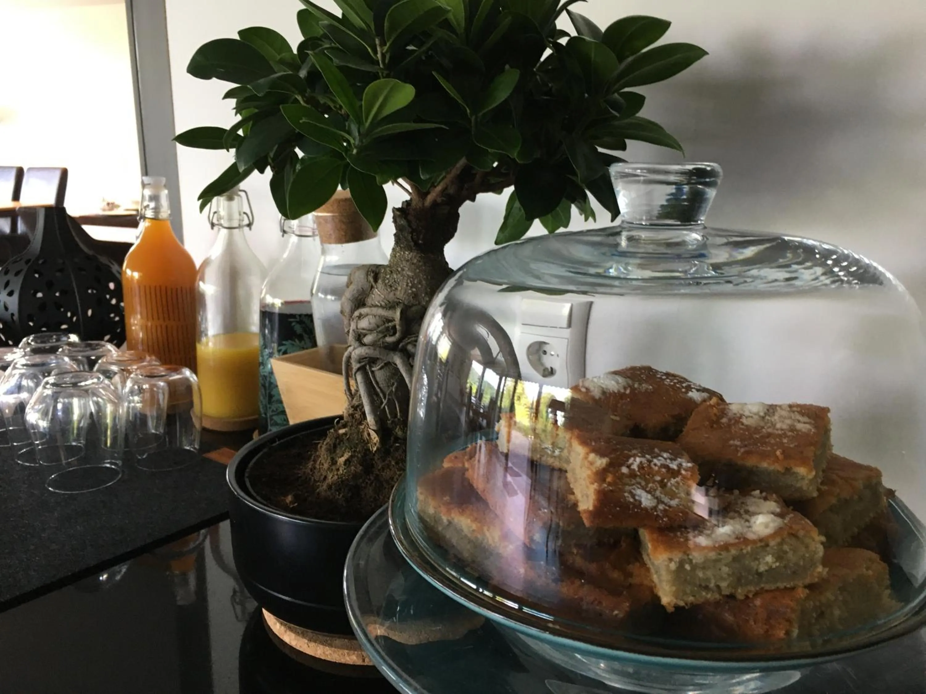 Food and drinks in Hotel Schlossberg