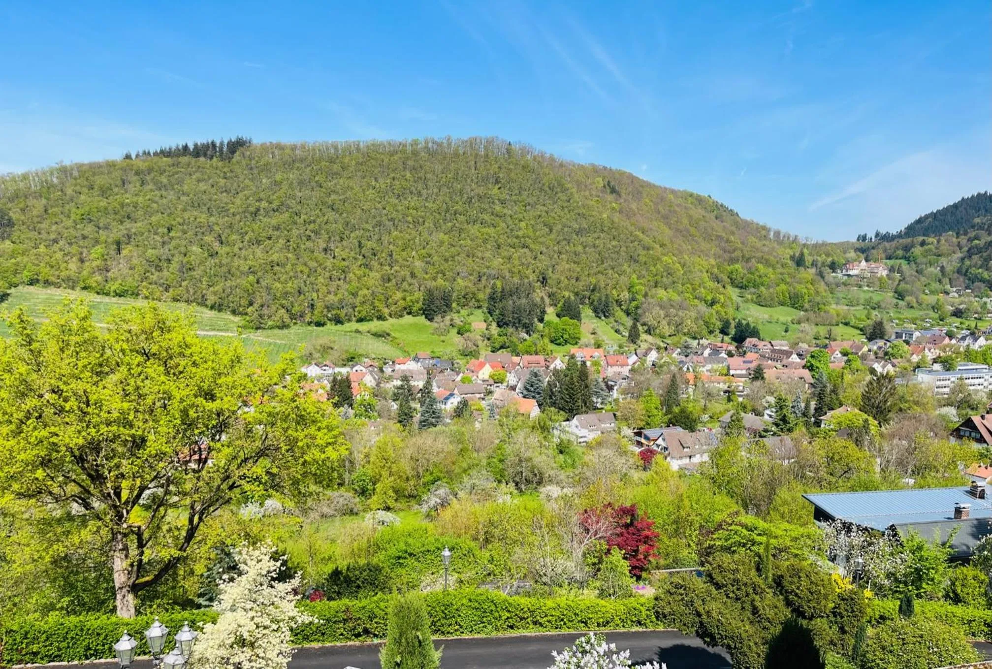 Balcony/Terrace in Hotel Schlossberg