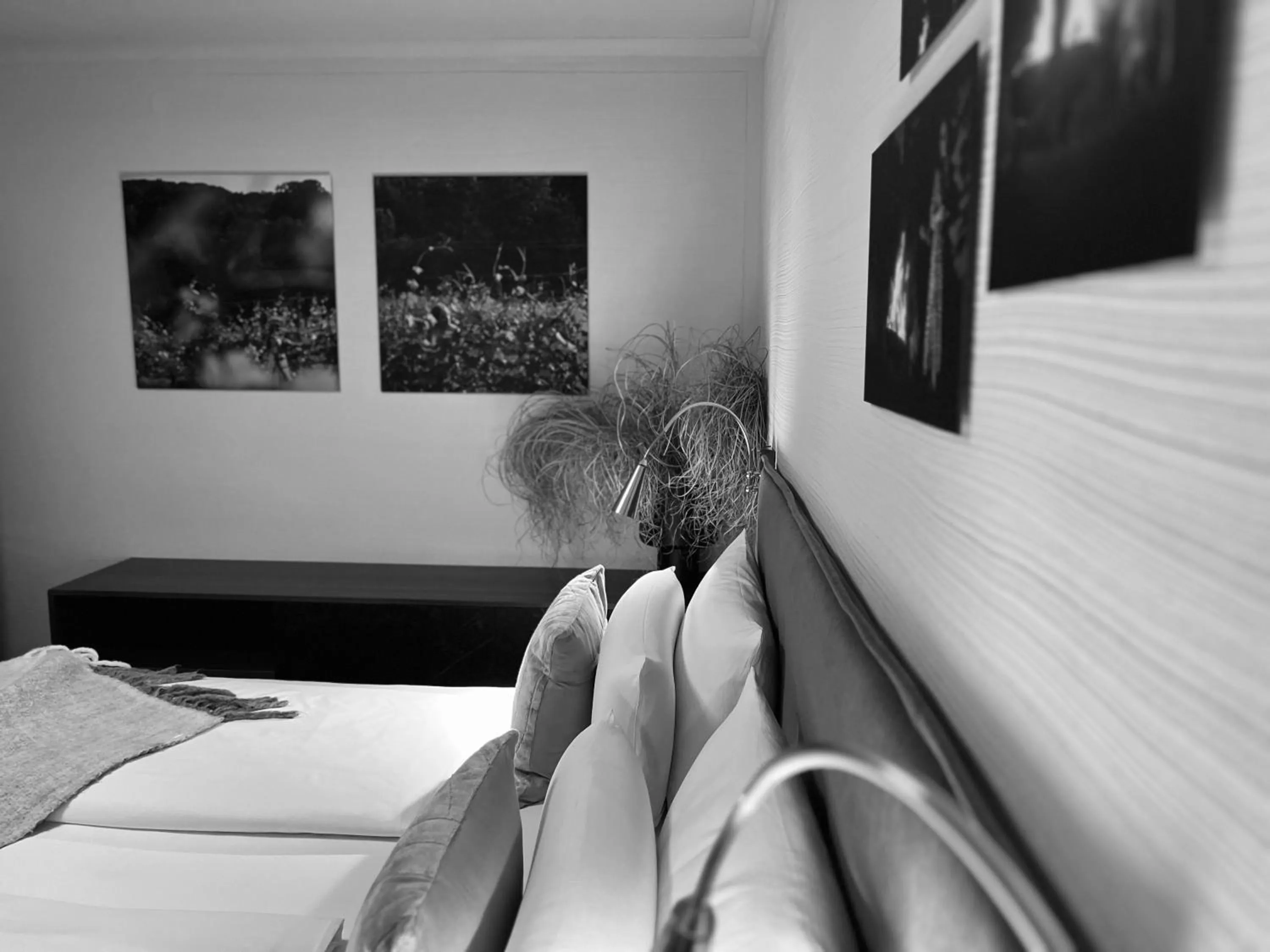 Bedroom, Bed in Hotel Schlossberg