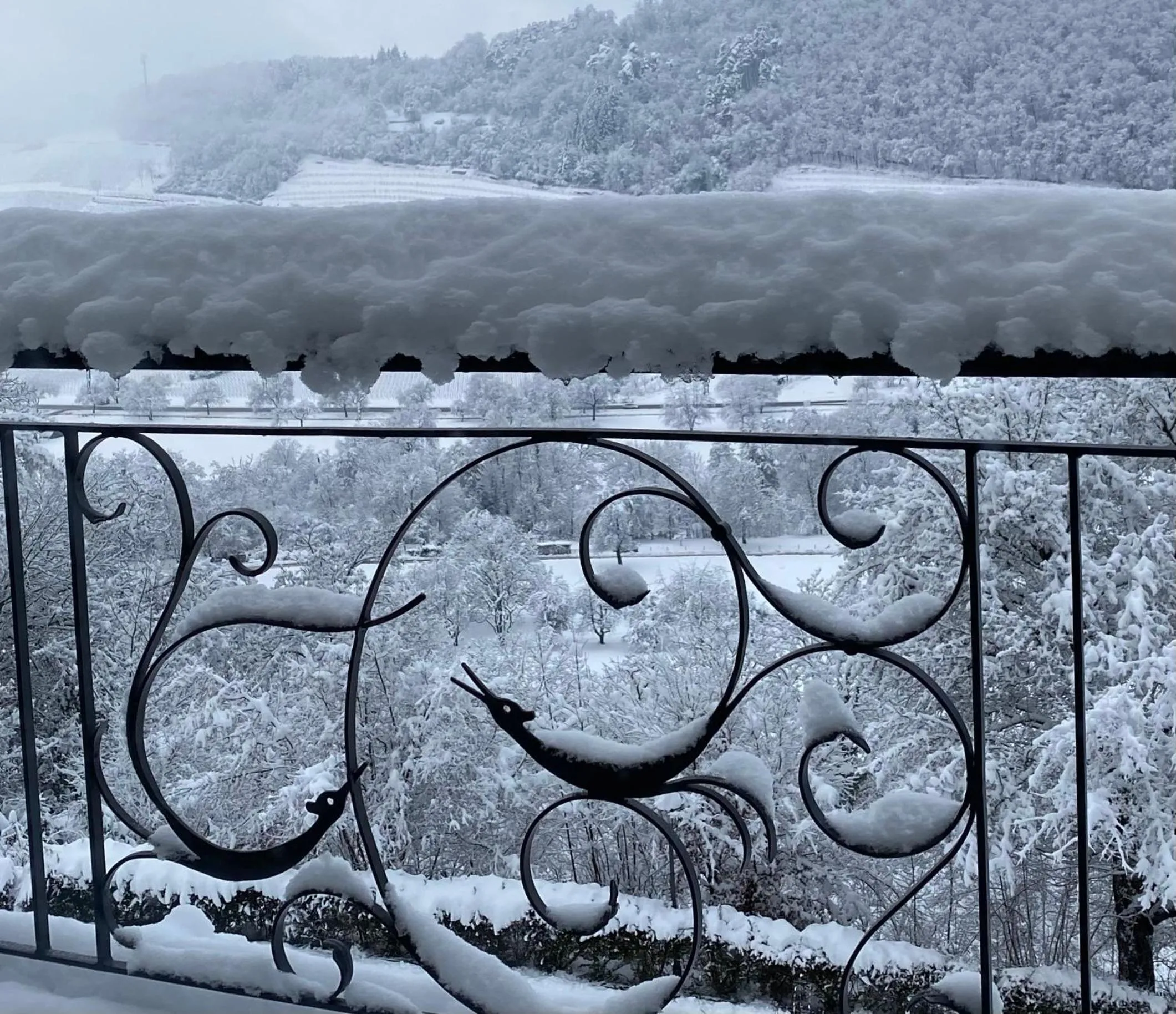 Property building in Hotel Schlossberg