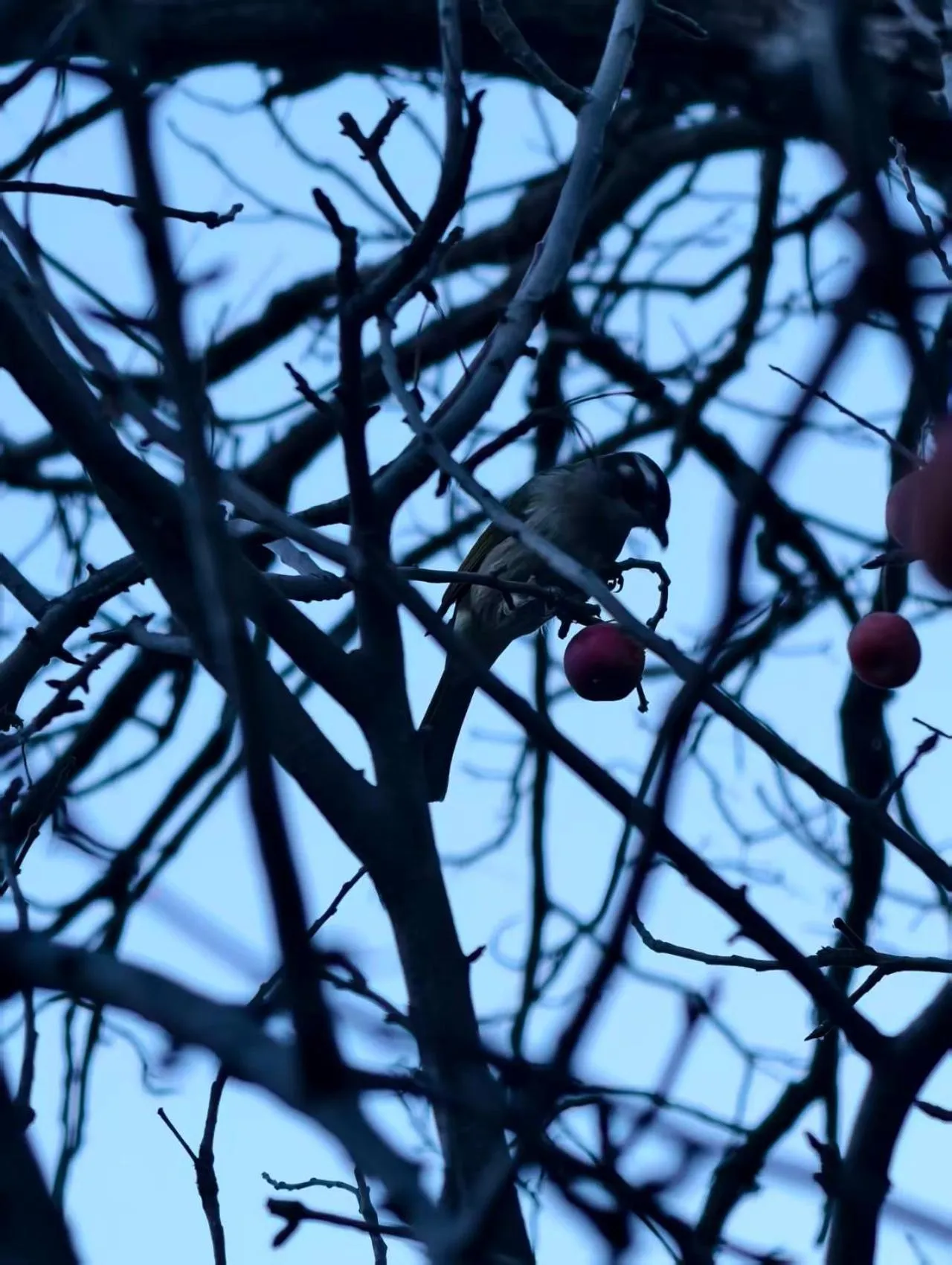 Beijing Jingyuan Courtyard Hotel