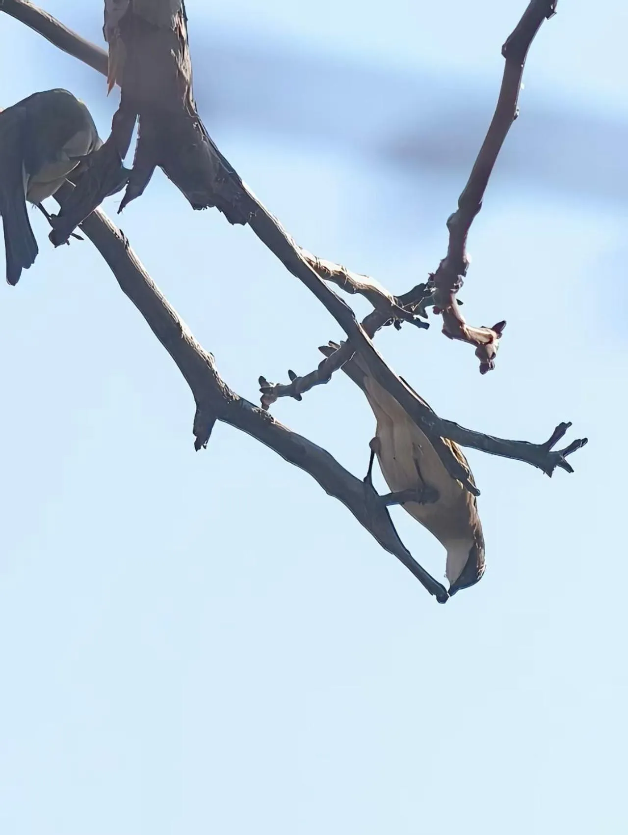 Beijing Jingyuan Courtyard Hotel