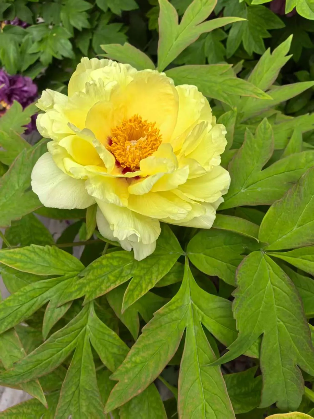 Beijing Jingyuan Courtyard Hotel