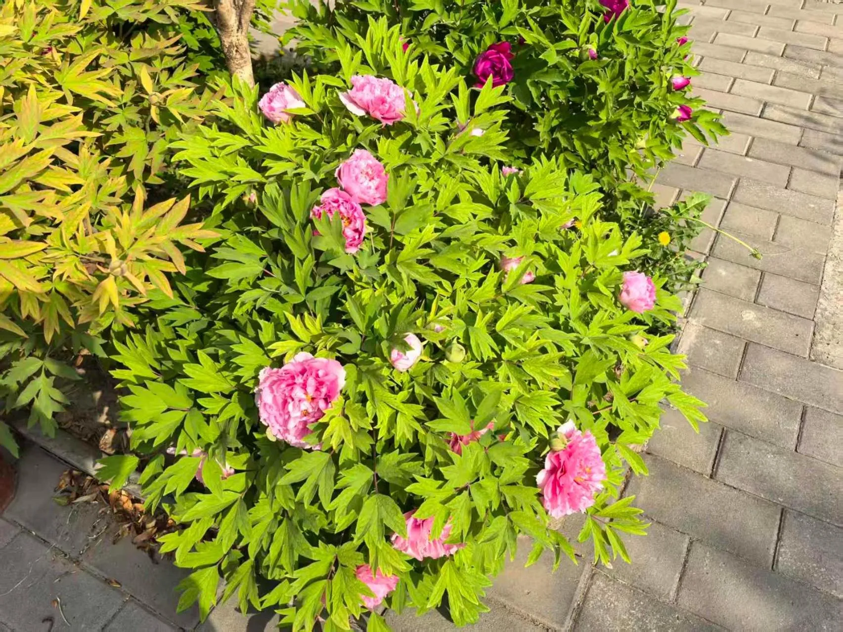 Beijing Jingyuan Courtyard Hotel