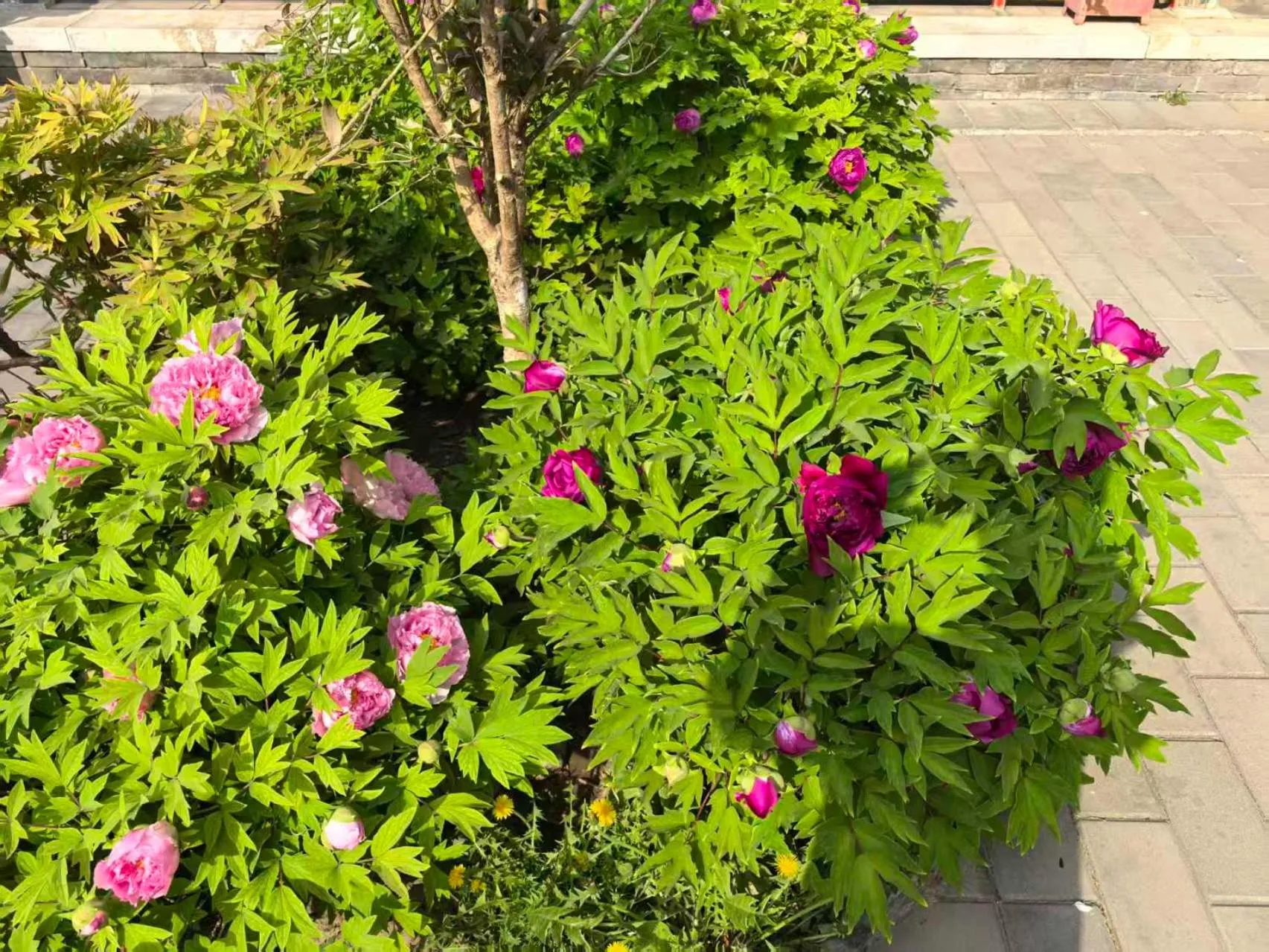 Beijing Jingyuan Courtyard Hotel