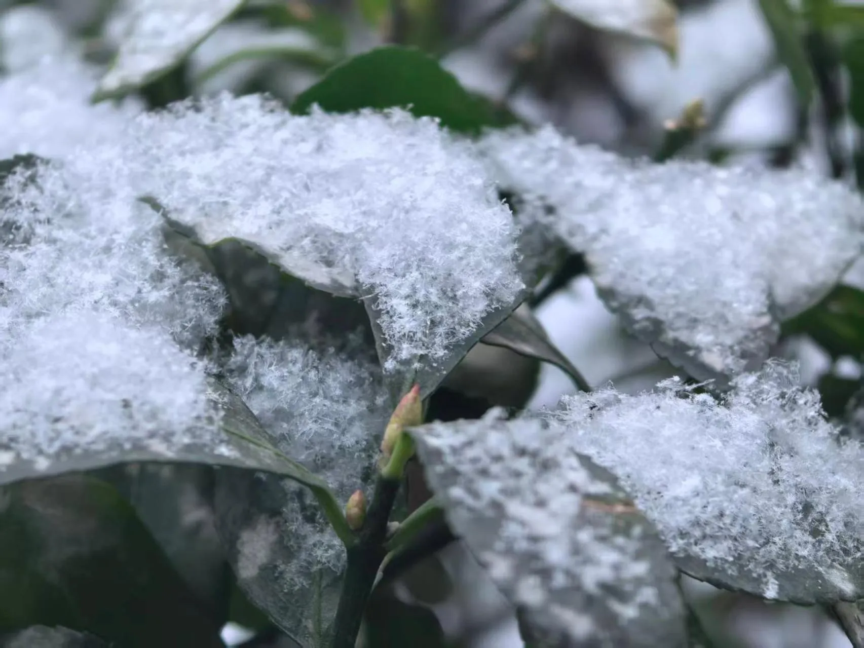 Beijing Jingyuan Courtyard Hotel