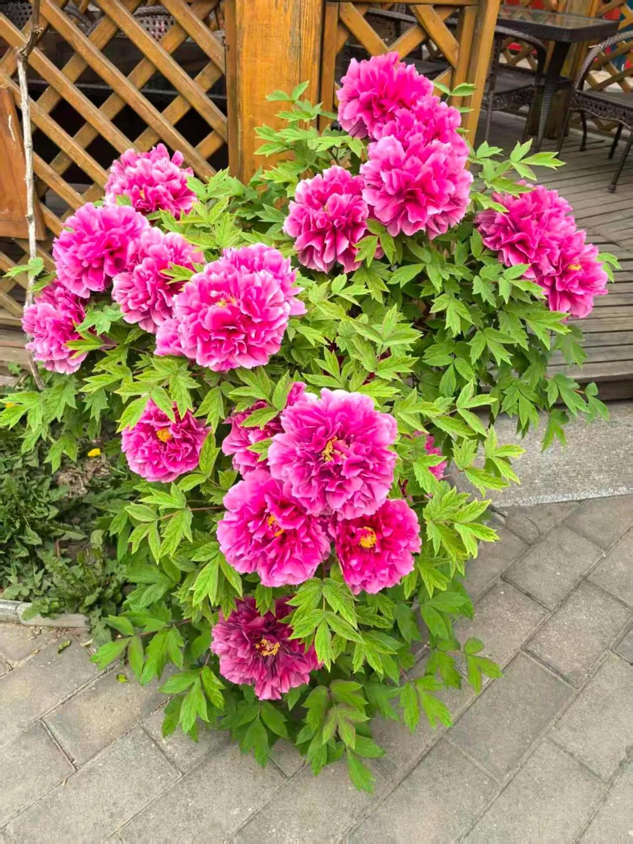 Beijing Jingyuan Courtyard Hotel