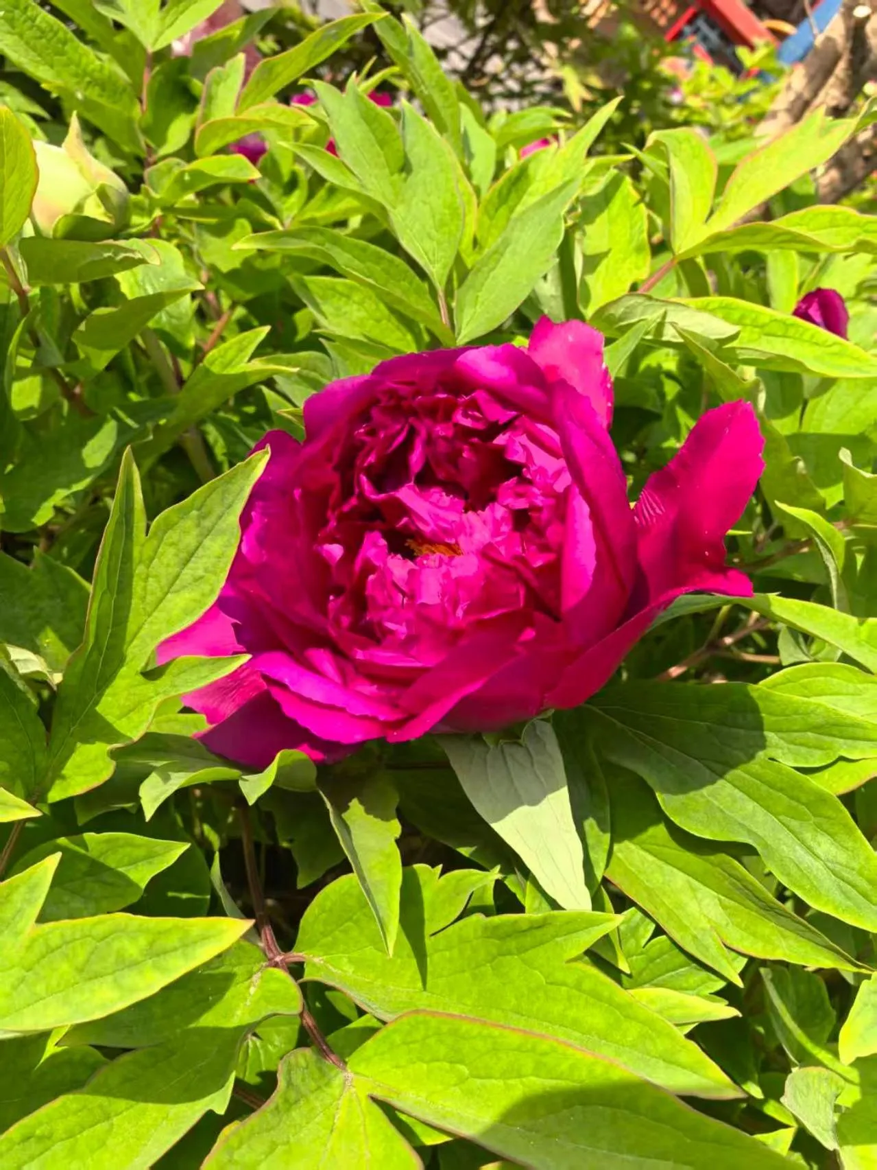 Beijing Jingyuan Courtyard Hotel