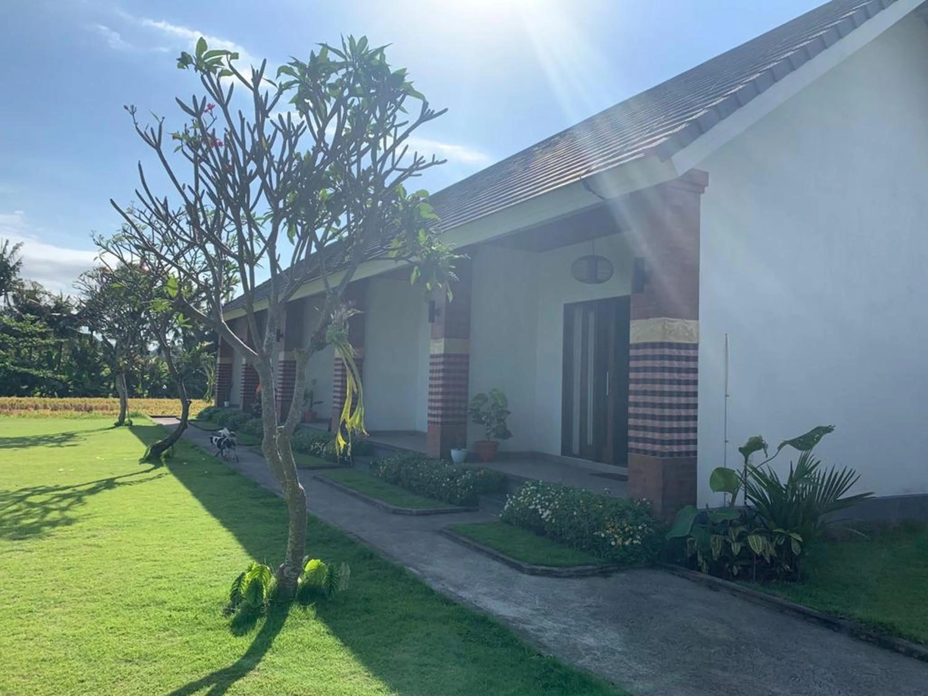 Garden in Tamiu Guesthouse at Desa Wisata Keramas Near Keramas Surf Beach