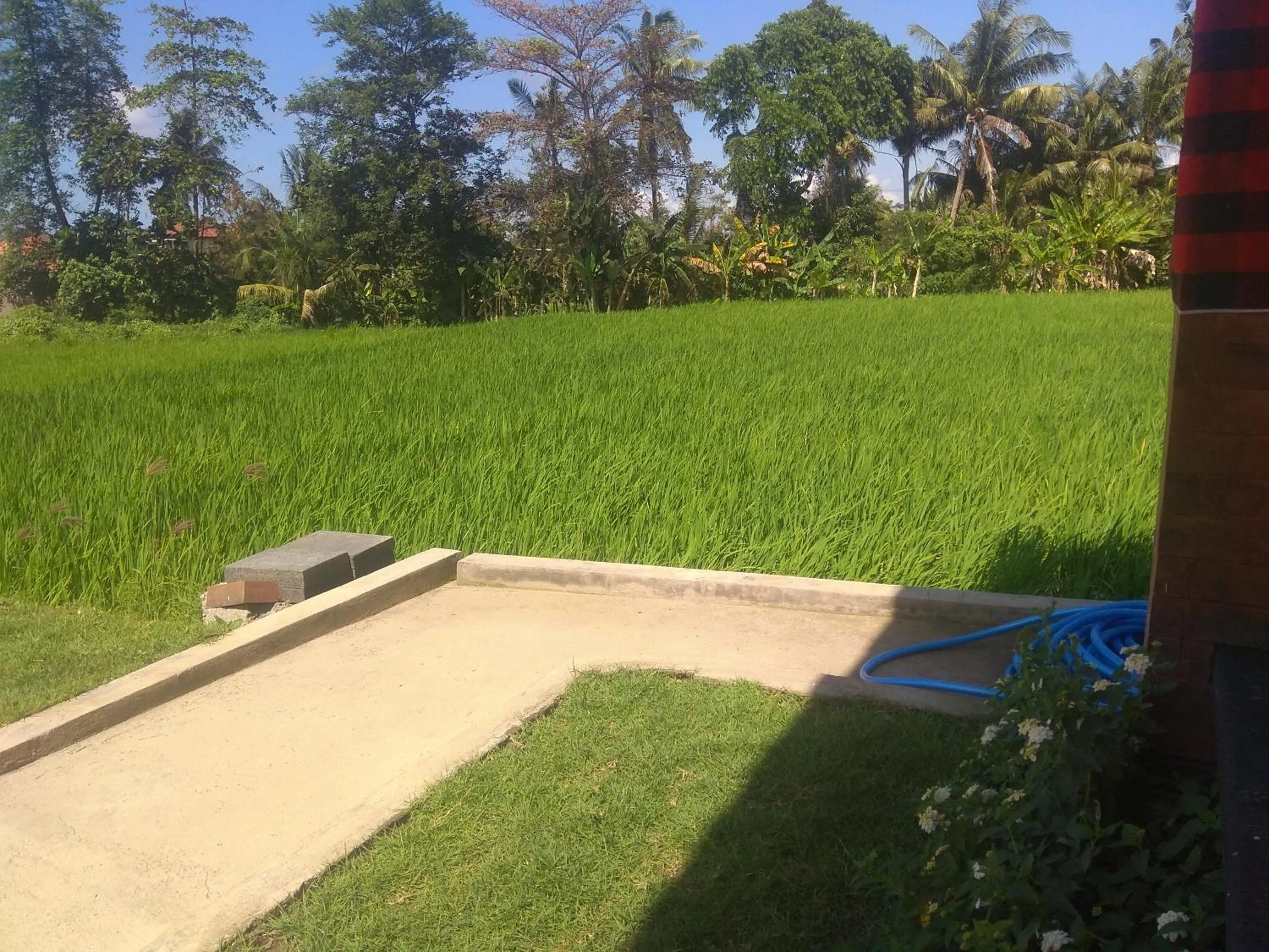 View (from property/room) in Tamiu Guesthouse at Desa Wisata Keramas Near Keramas Surf Beach