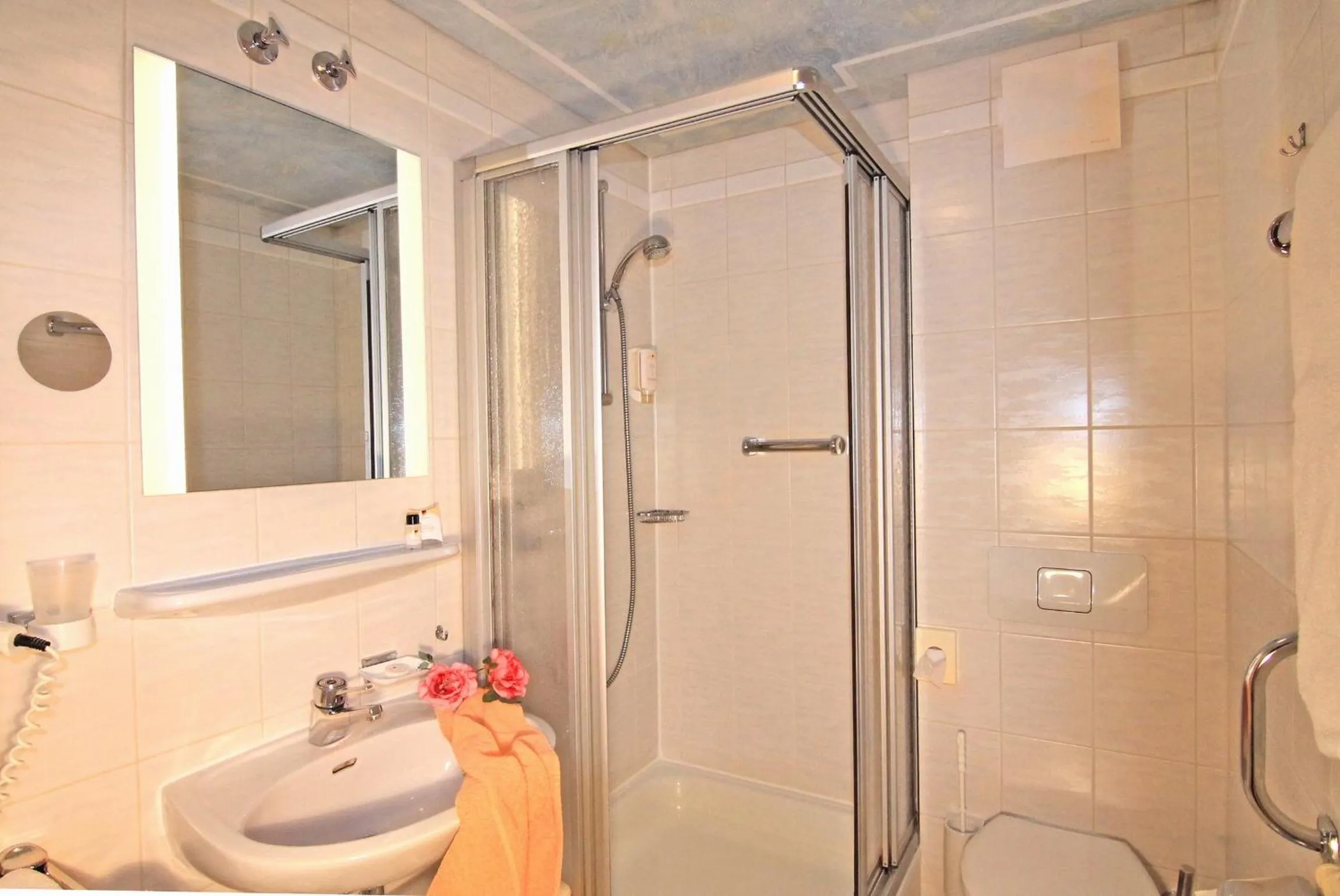 Shower in Hotel Weingärtner