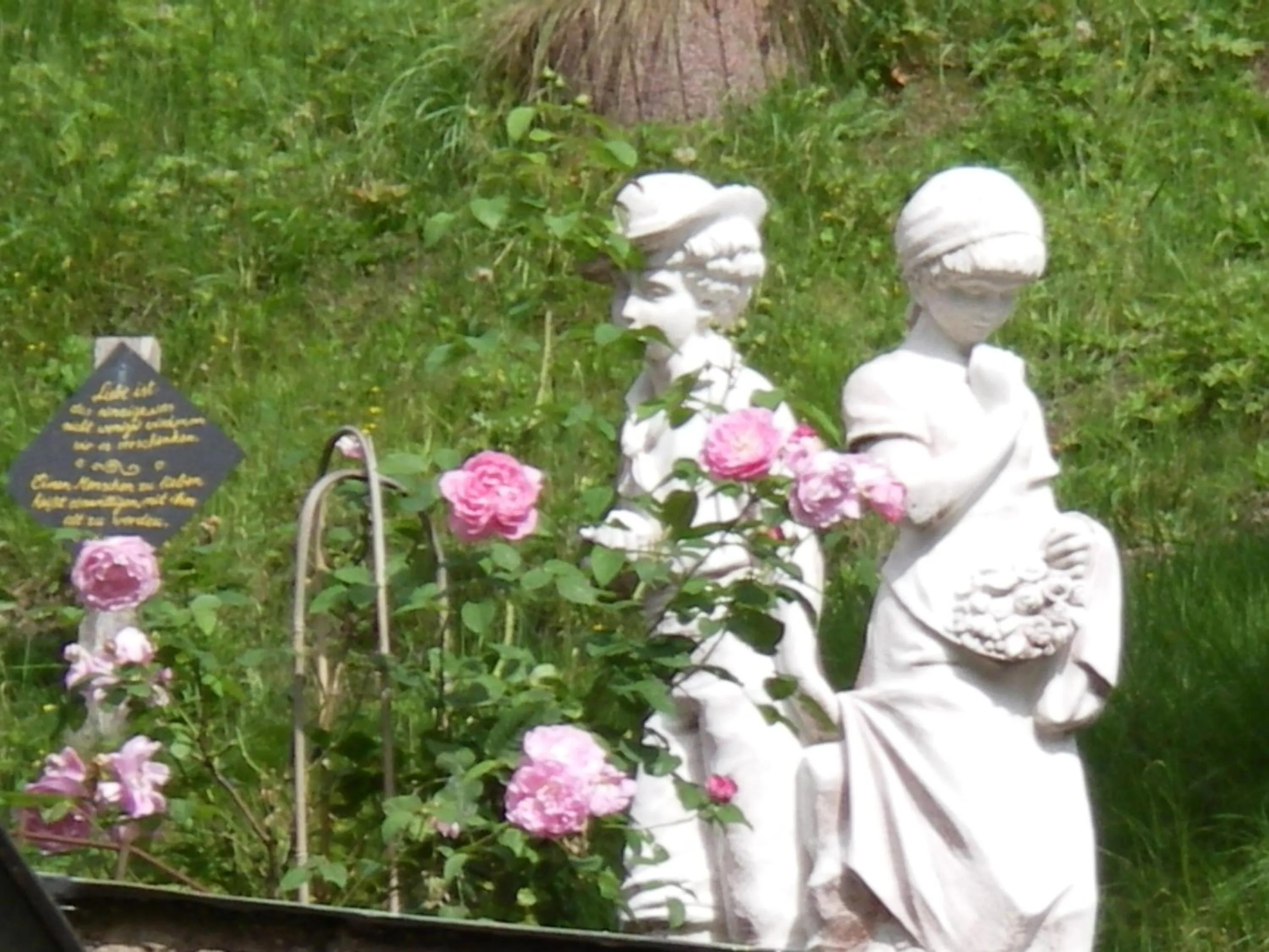 Garden in Hotel Weingärtner
