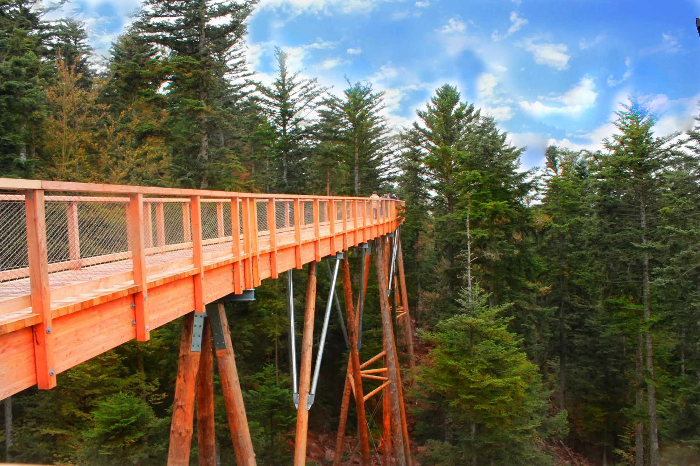 Natural landscape in Hotel Weingärtner