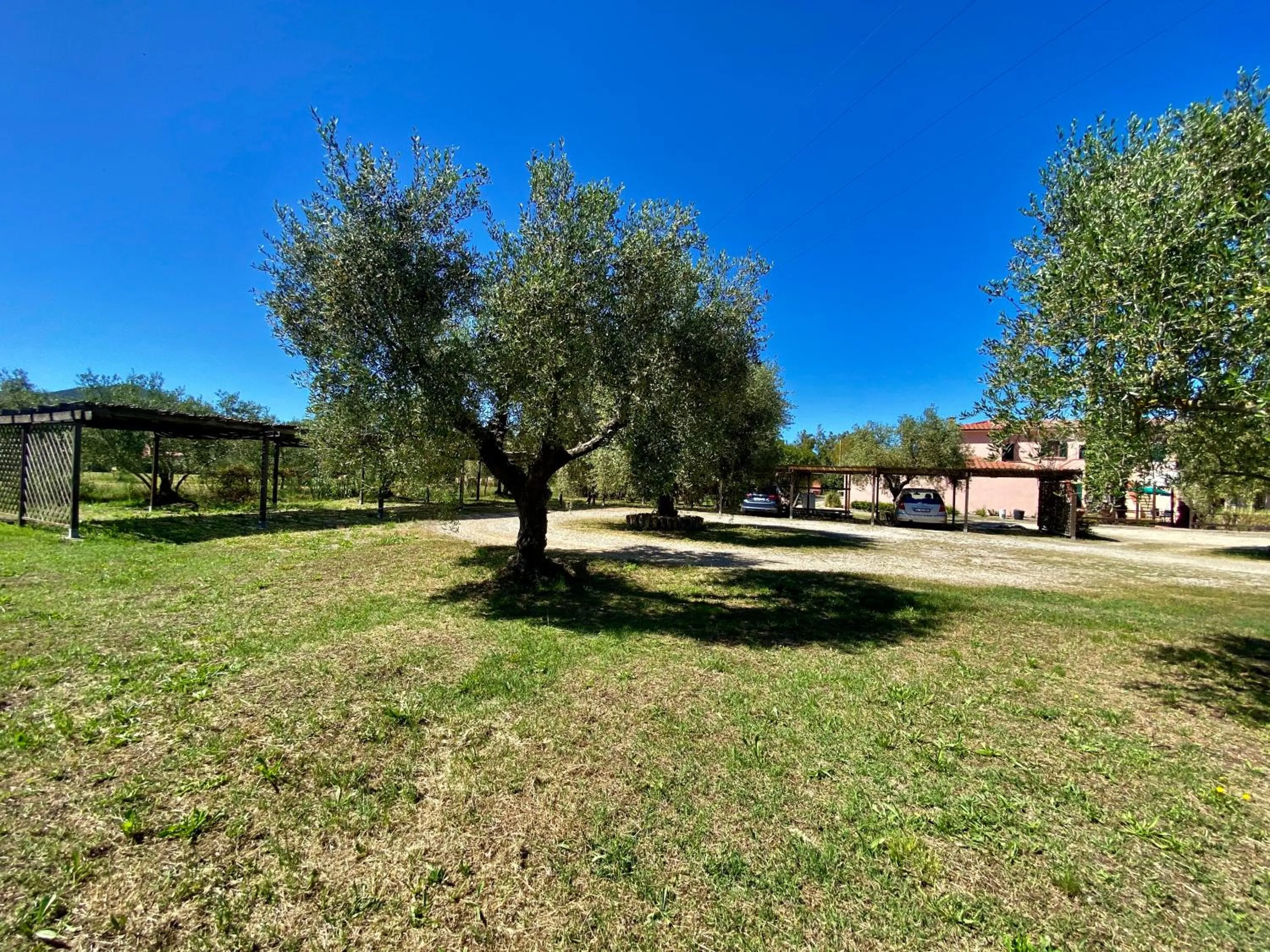 Garden in RESIDENCE TERME ISOLA D'ELBA SRL