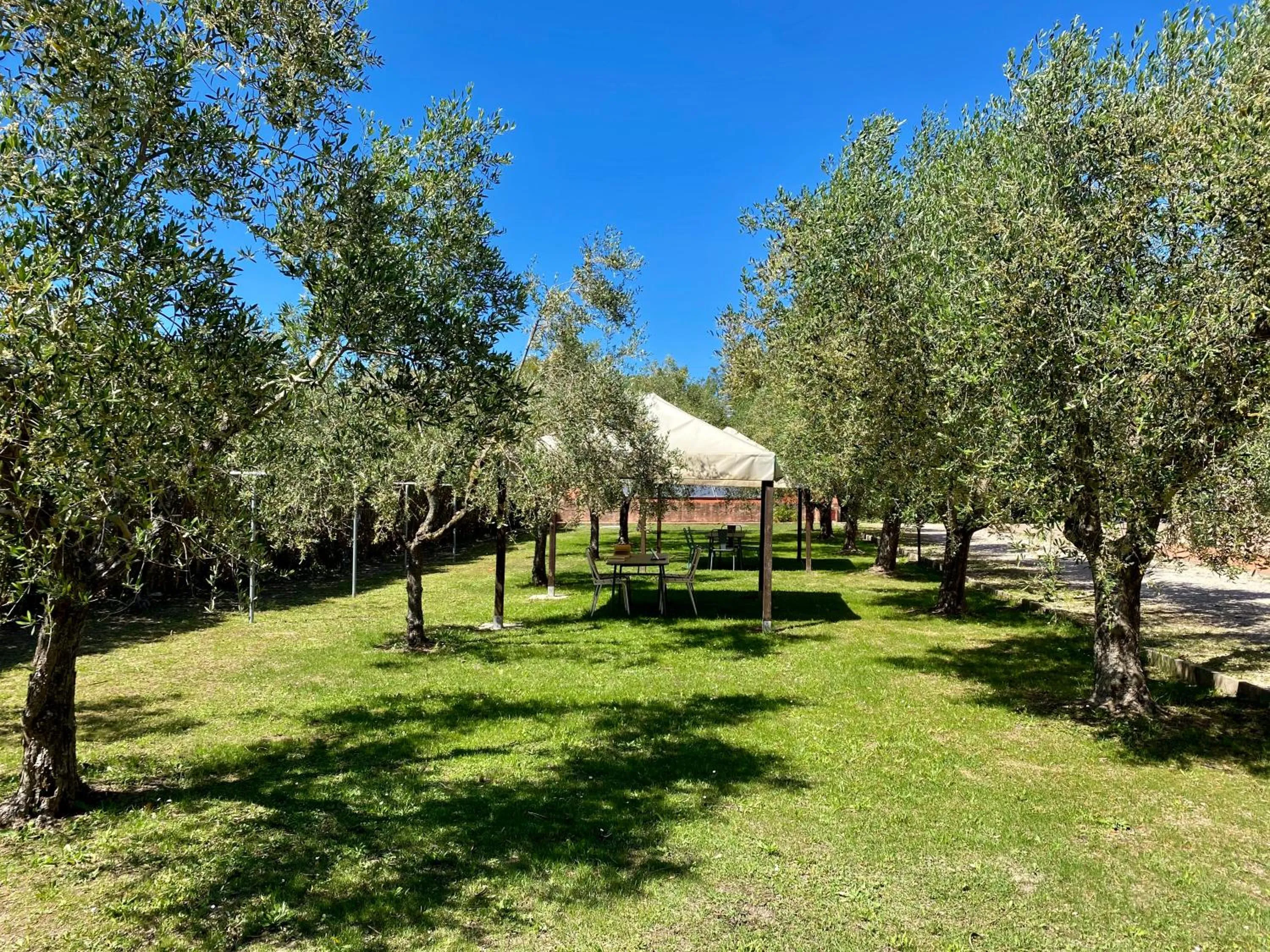 Garden in RESIDENCE TERME ISOLA D'ELBA SRL