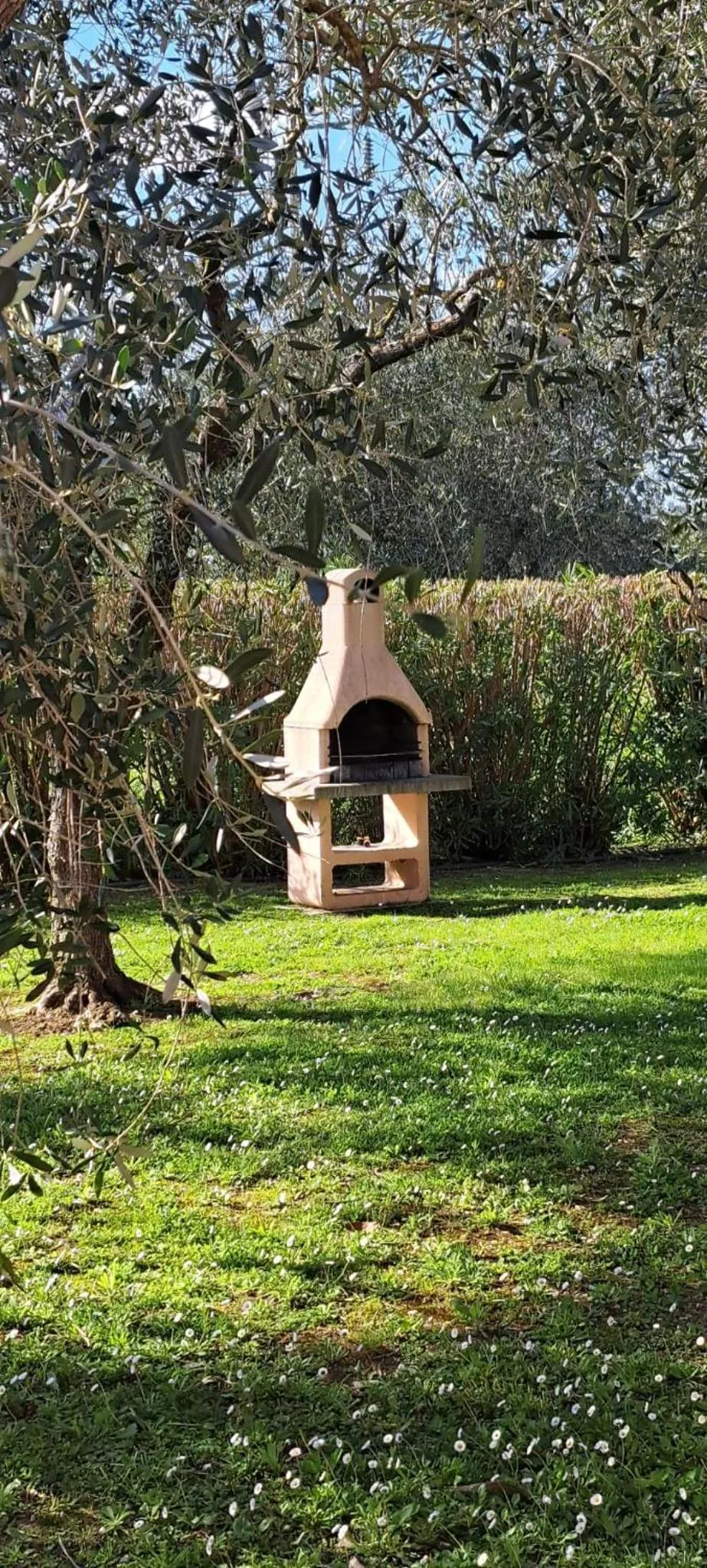 BBQ facilities in RESIDENCE TERME ISOLA D'ELBA SRL