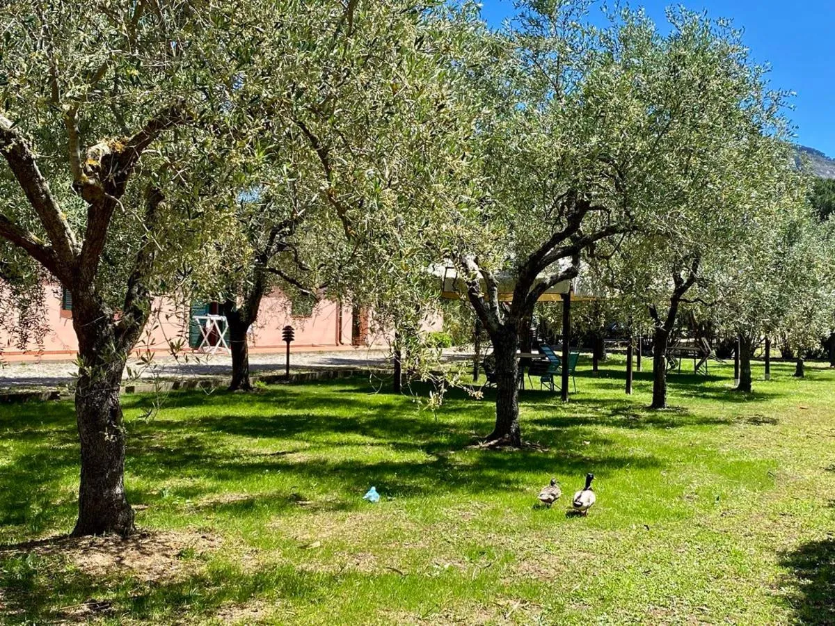 Garden in RESIDENCE TERME ISOLA D'ELBA SRL