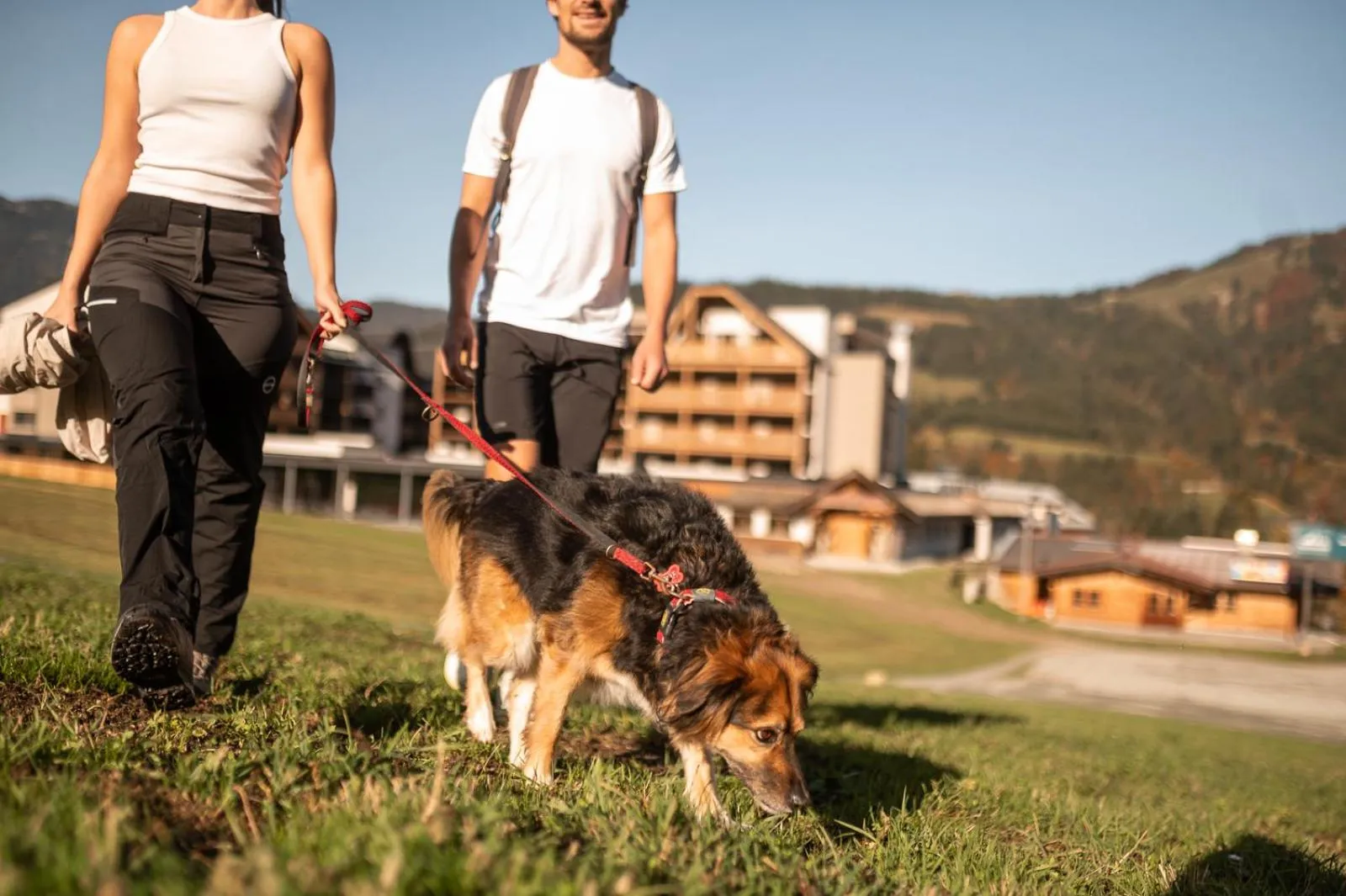 Natural landscape in ADEA Lifestyle Suites Fieberbrunn