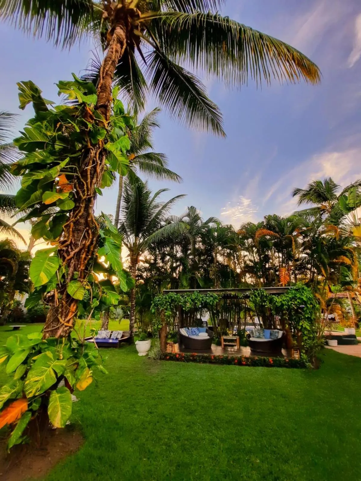 Garden in Pousada Villa Cumuru