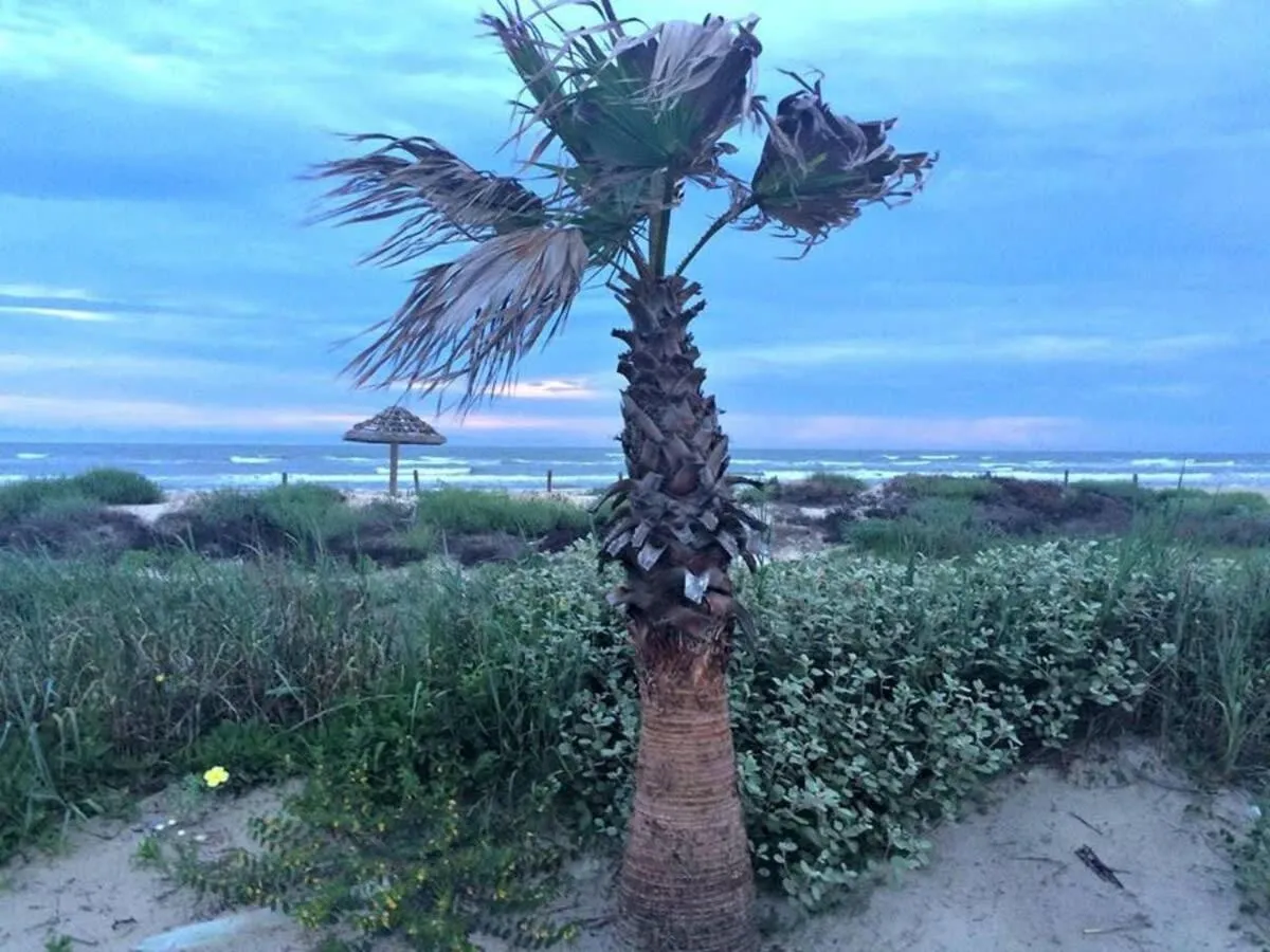 Sunset Sanctuary - Adorable Beach Bungalow with Gorgeous Gulf Views!