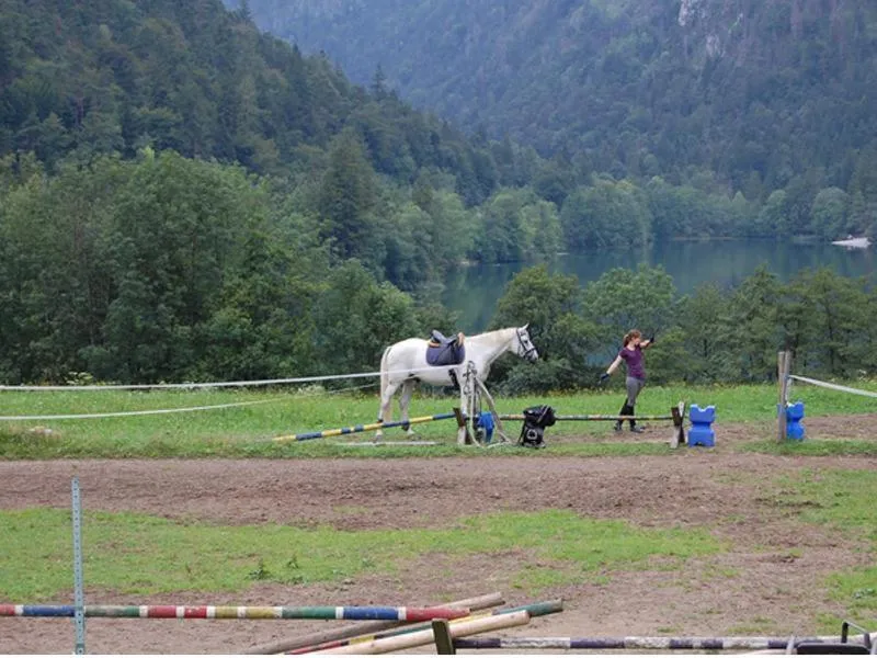 Hotel- Pension Oechsner