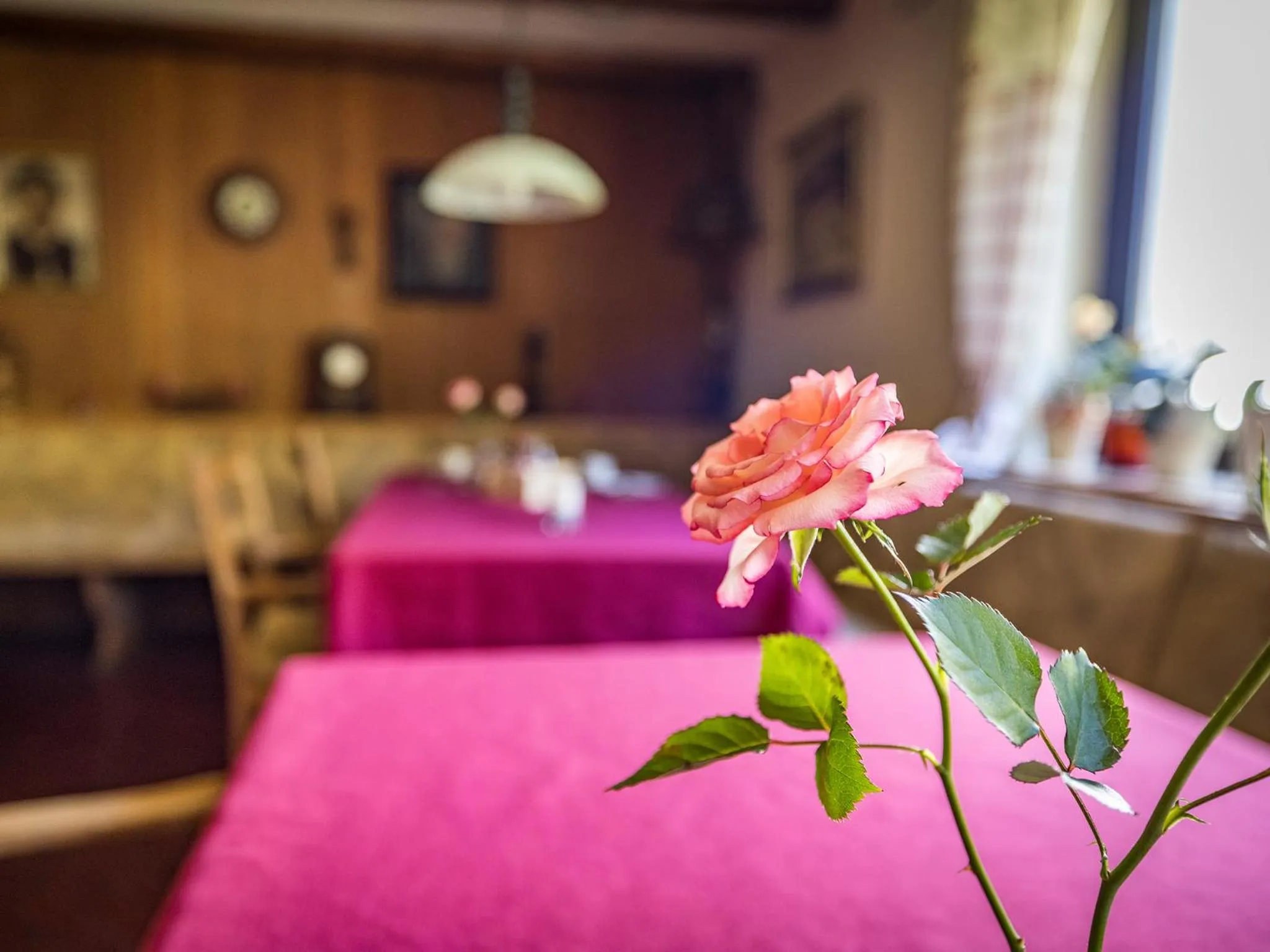 Hotel- Pension Oechsner