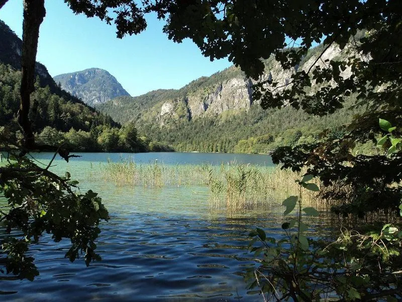 Hotel- Pension Oechsner