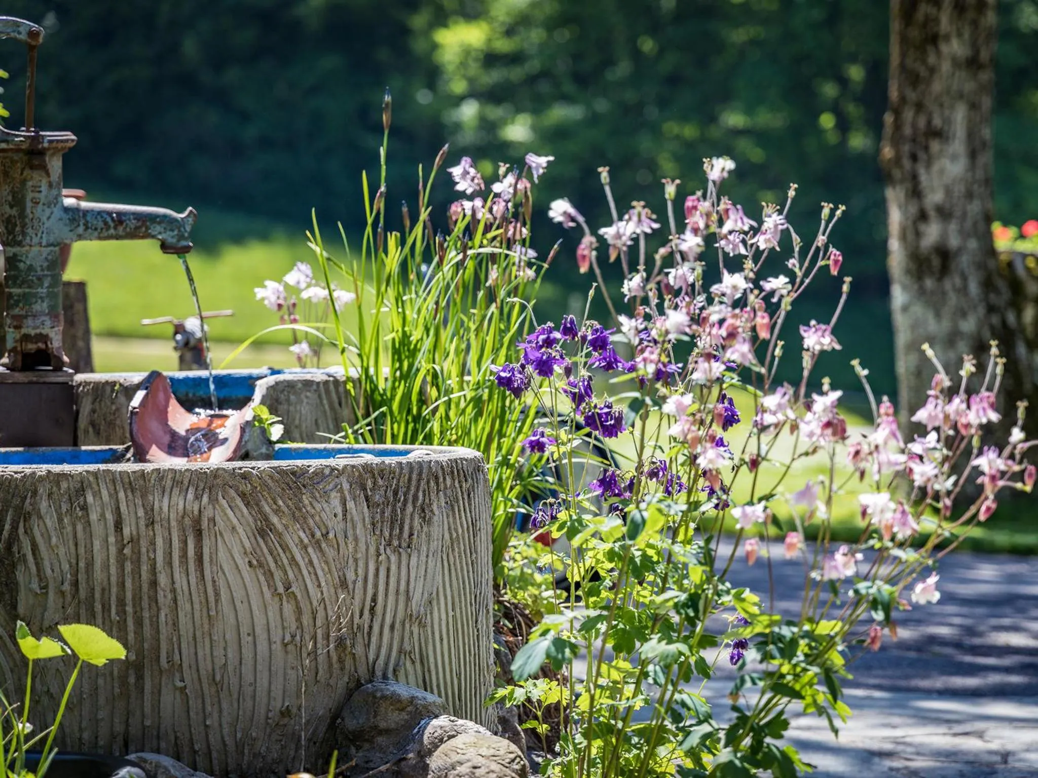 Hotel- Pension Oechsner