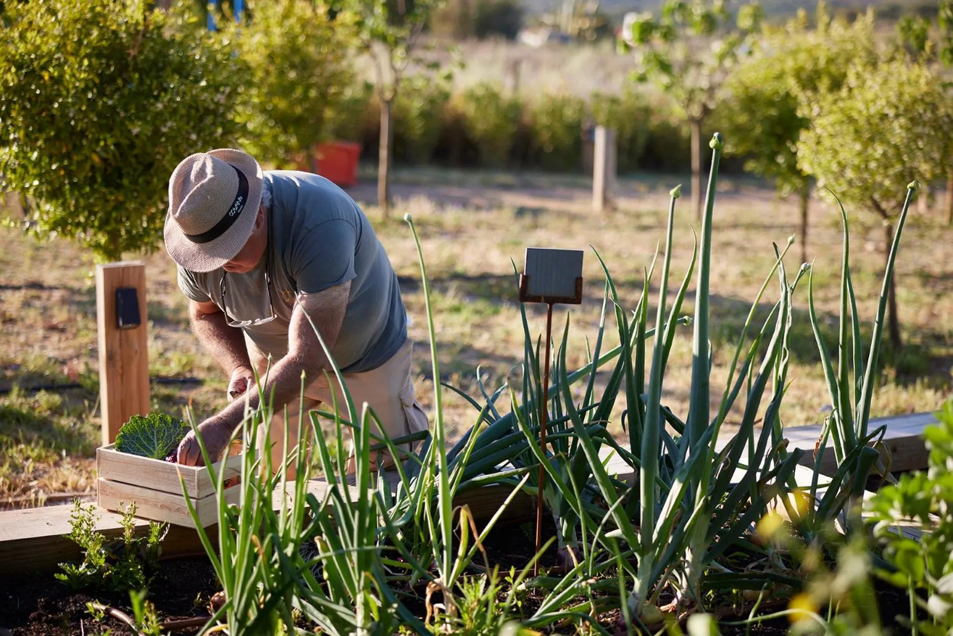 Natural landscape in Octant Evora